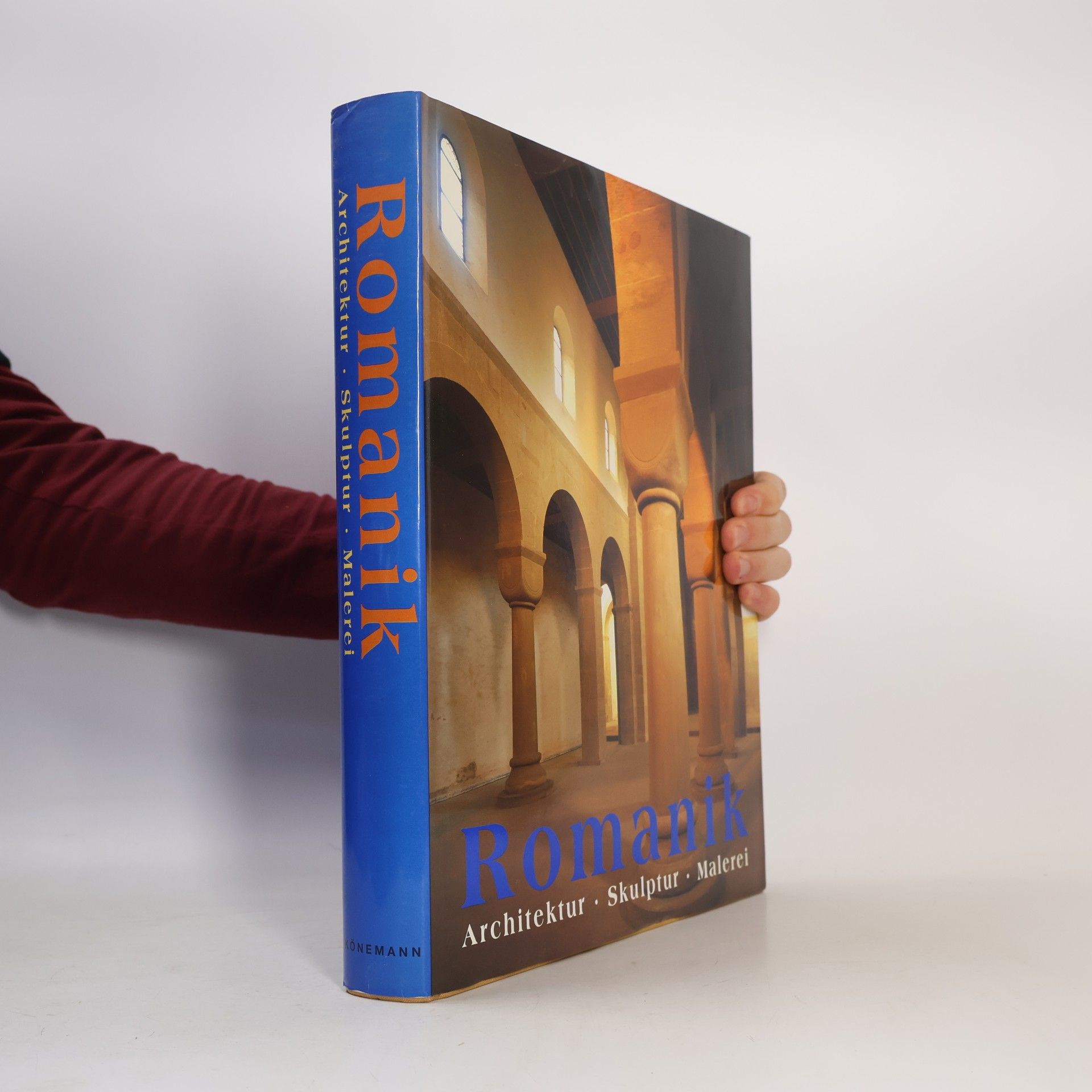 Die Kunst der Romanik : Architektur, Skulptur, Malerei
