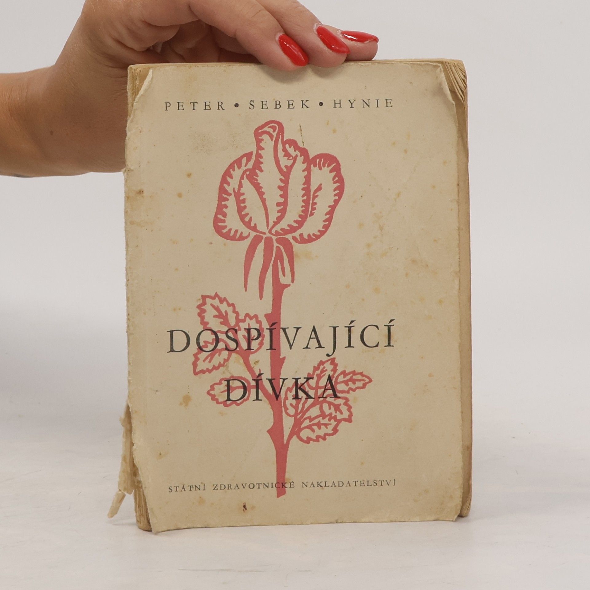 Václav Šebek Dospívající dívka