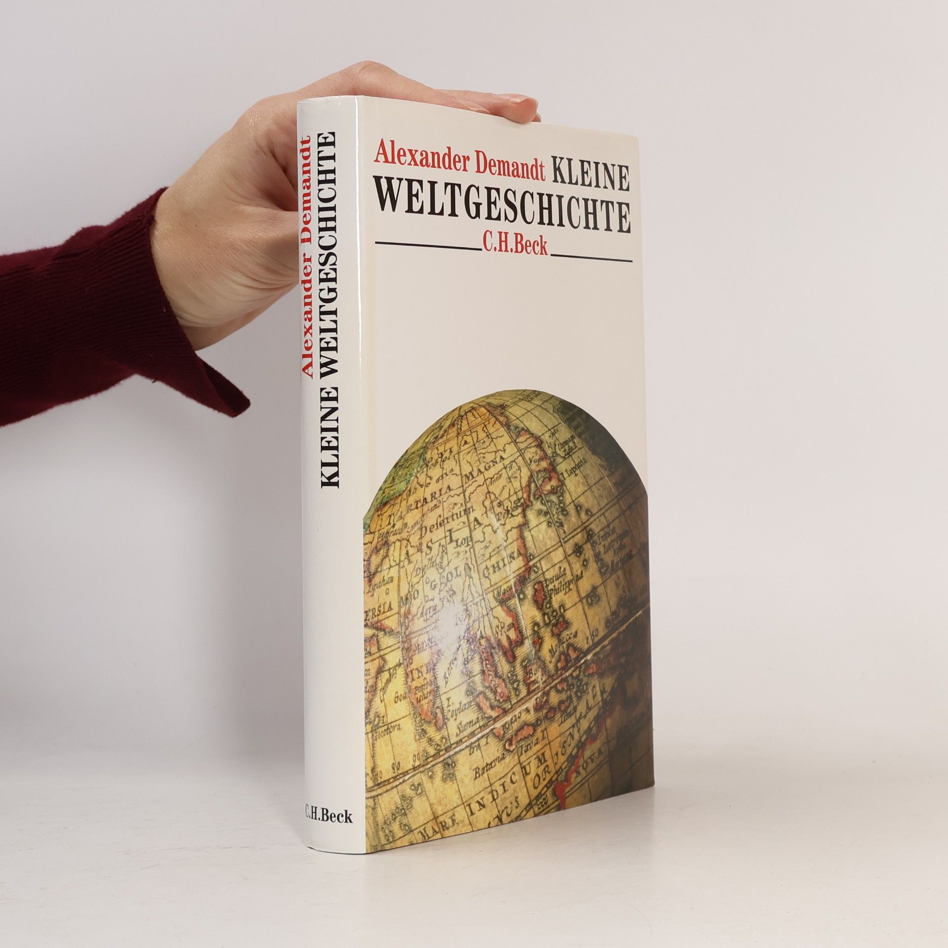 Alexander Demandt Kleine Weltgeschichte
