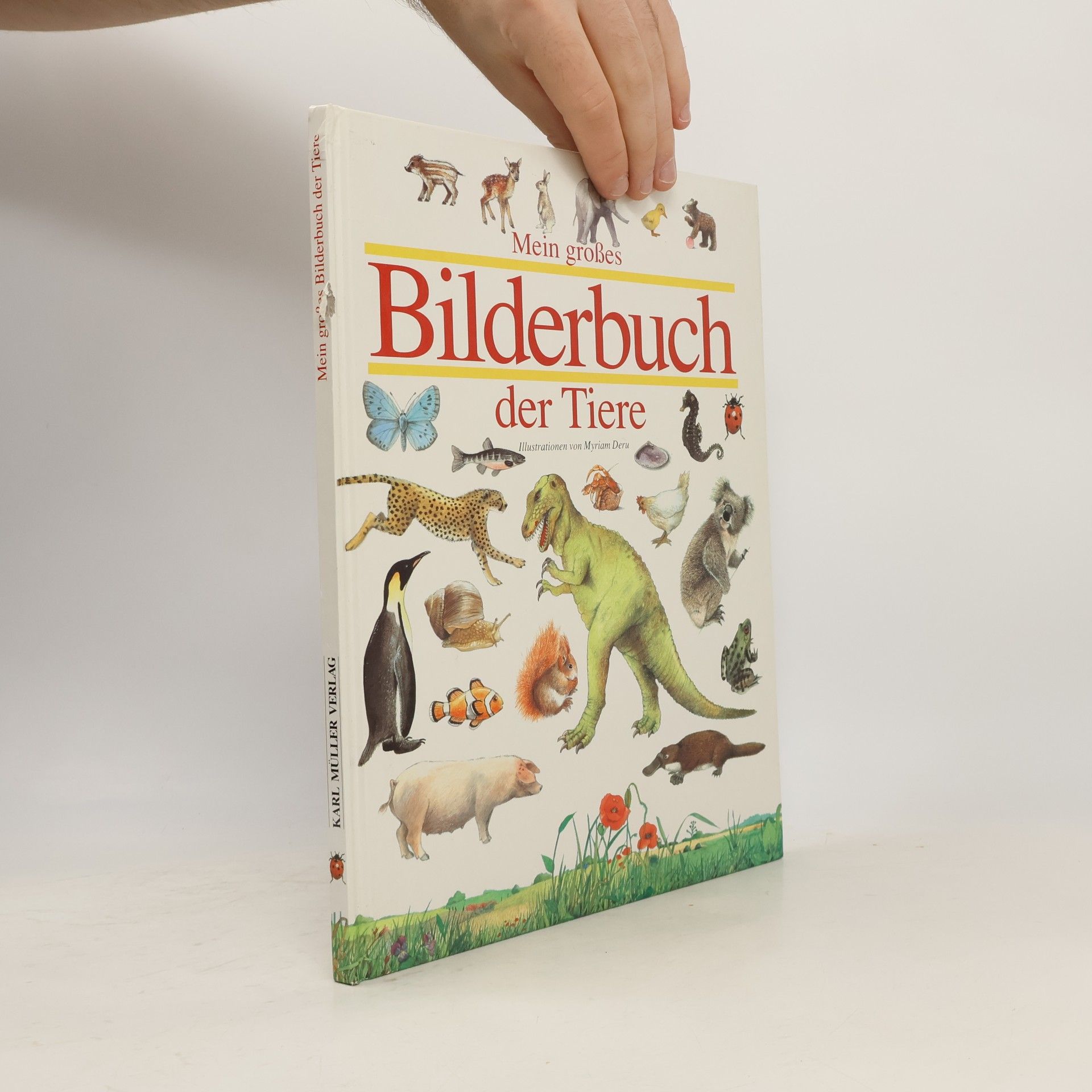 Myriam Deru Mein grosses Bilderbuch der Tiere