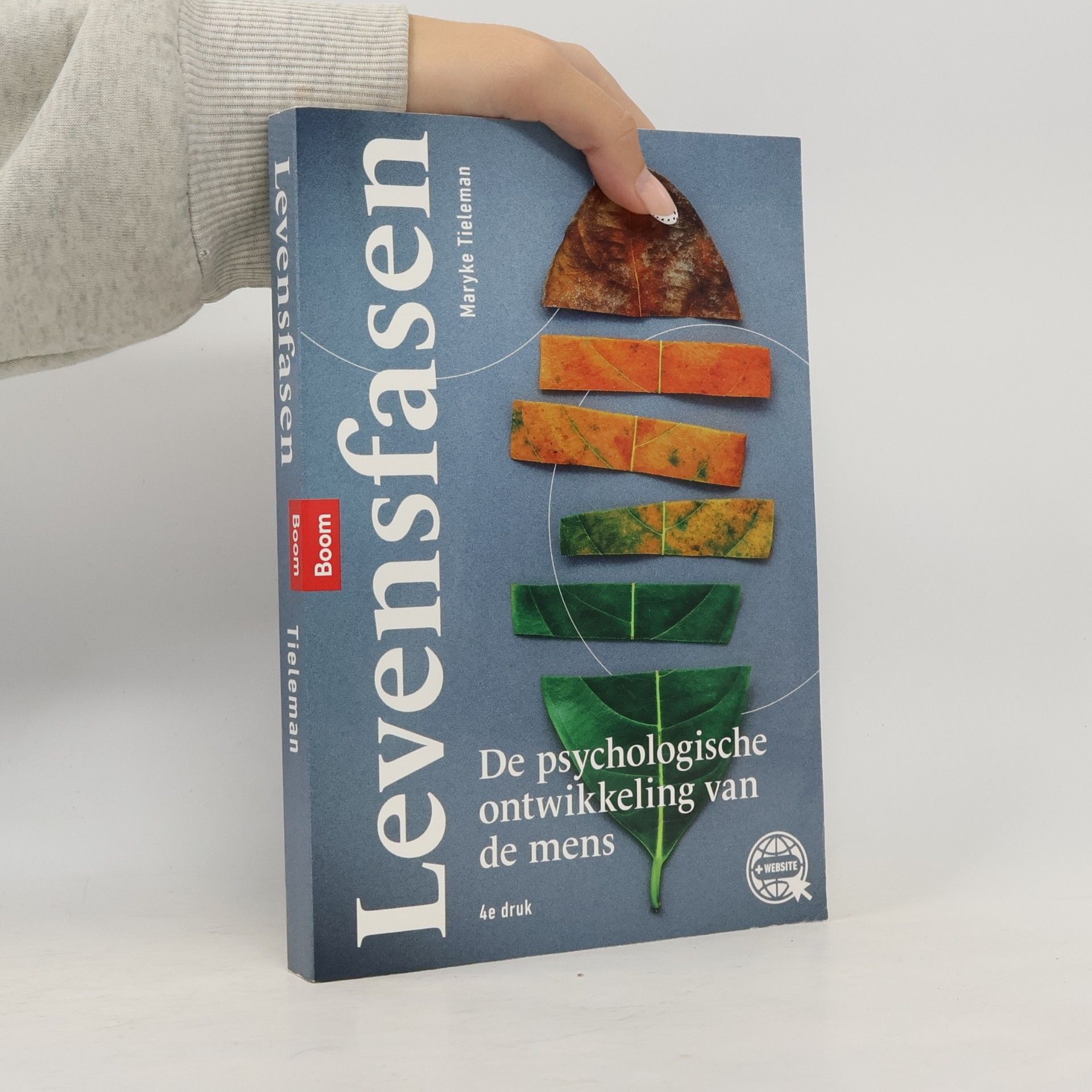 Levensfasen