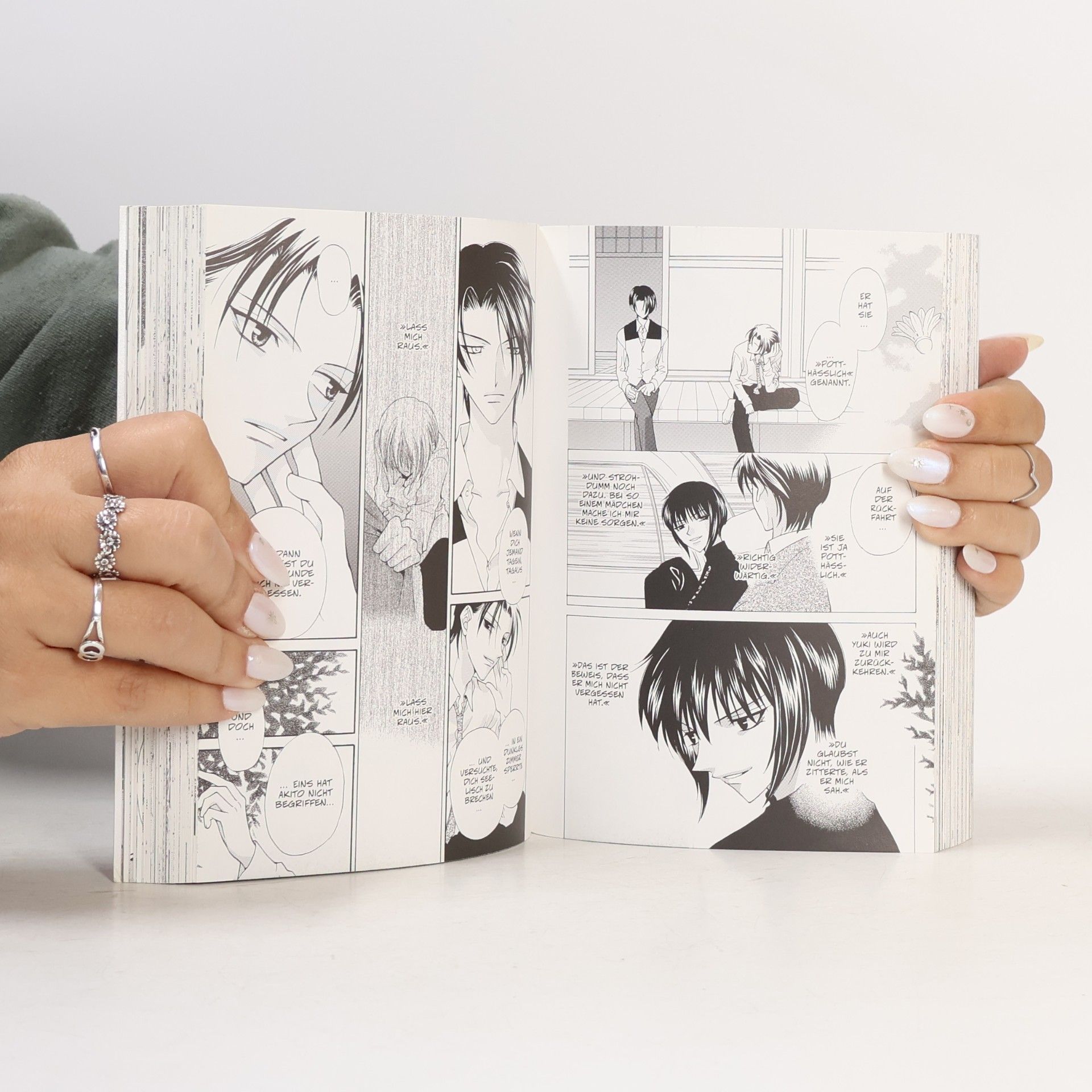 Natsuki Takaya FRUITS BASKET Pearls 2