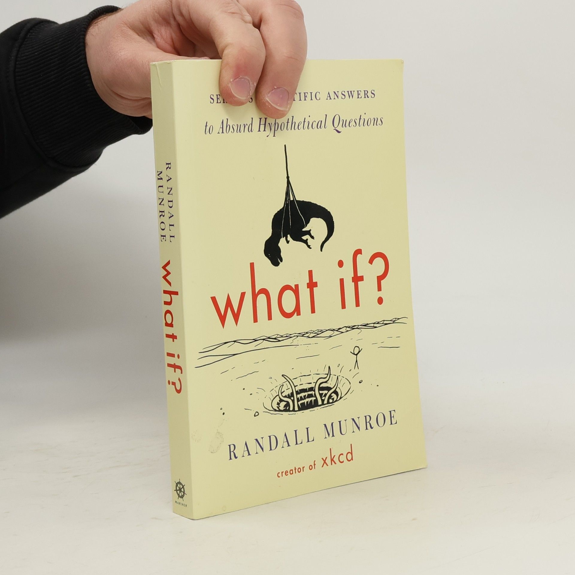 What If? (International edition)