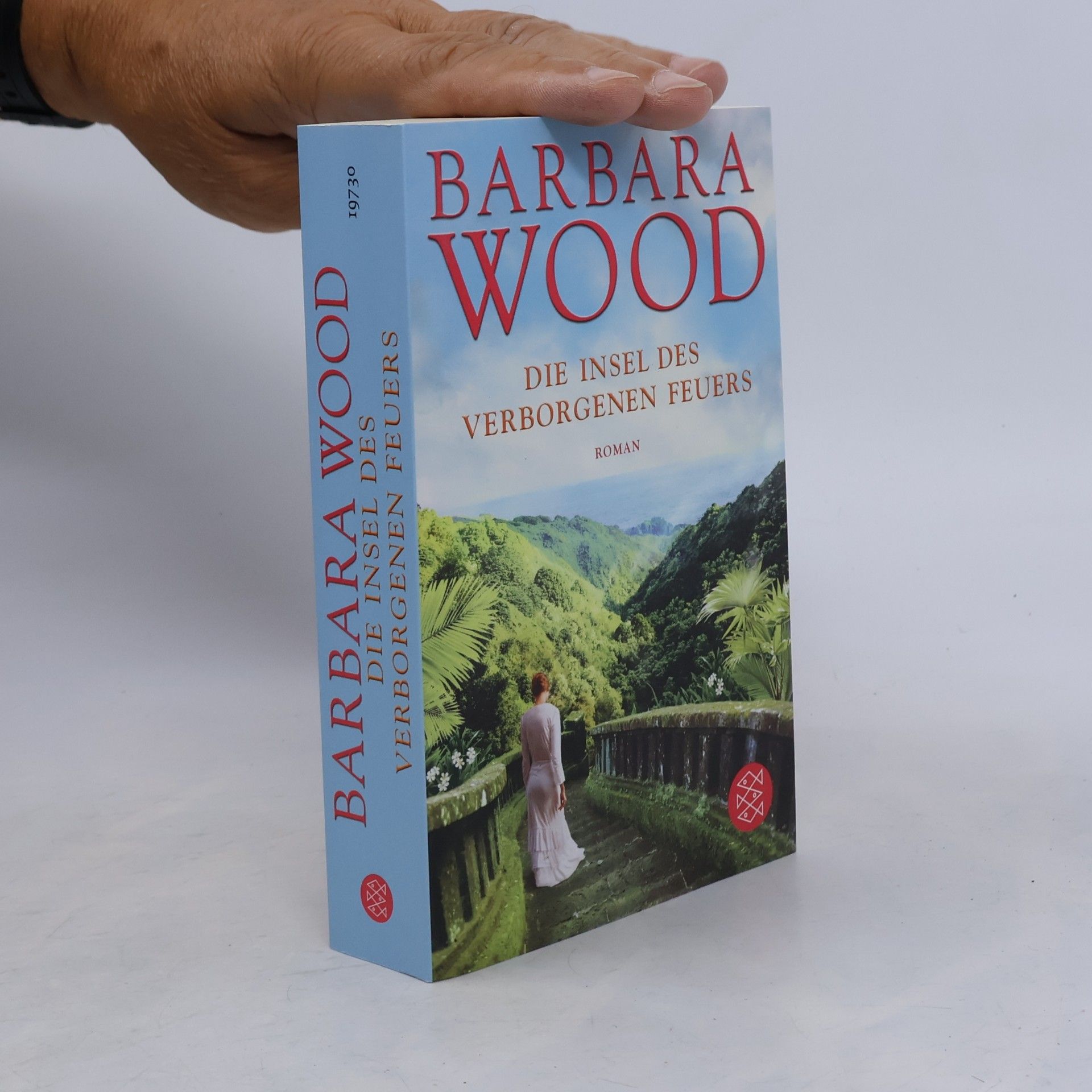 Barbara Wood Die Insel des verborgenen Feuers