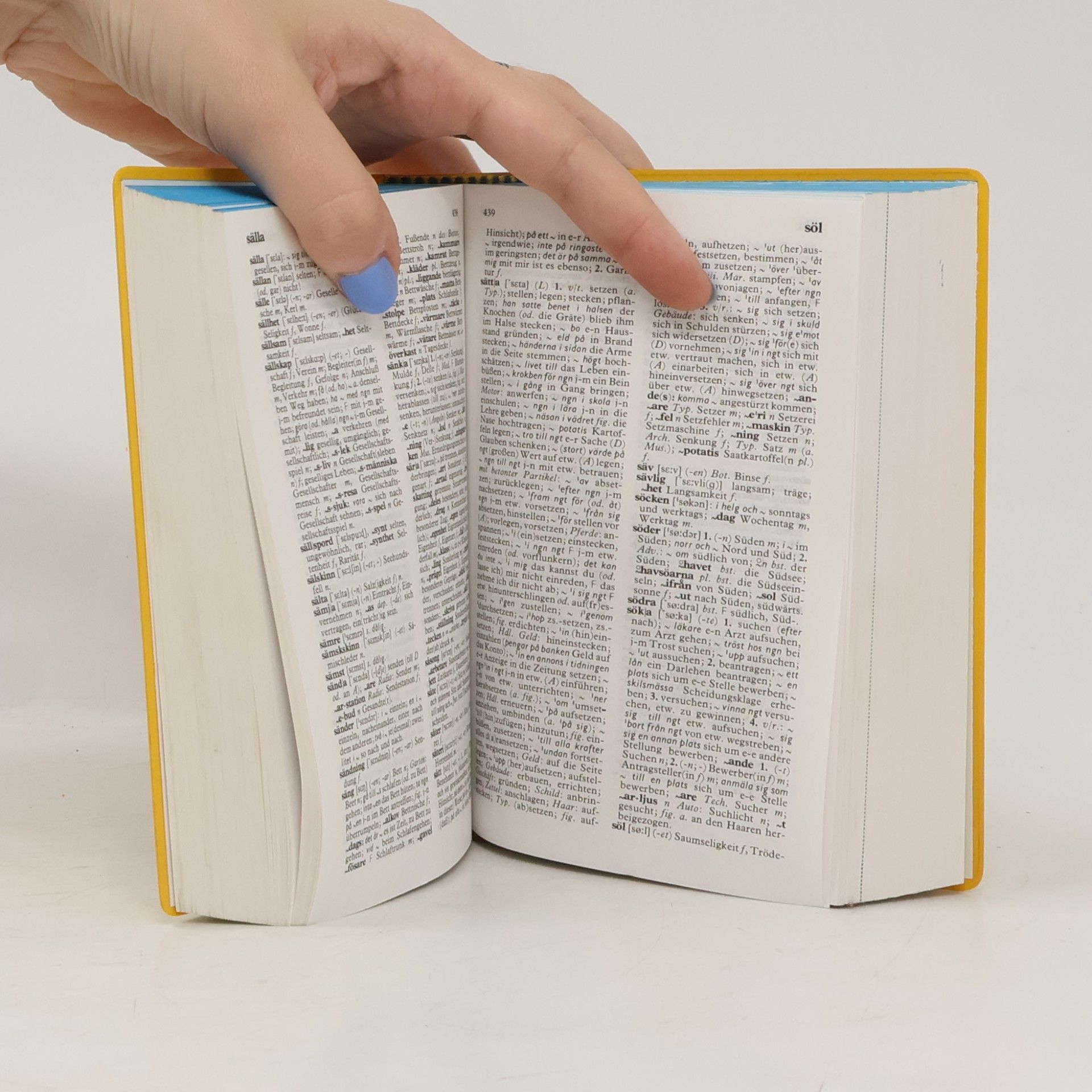 Hansgeorg Kornitzky Langenscheidts Taschenwörterbuch der schwedischen und deutschen Sprache