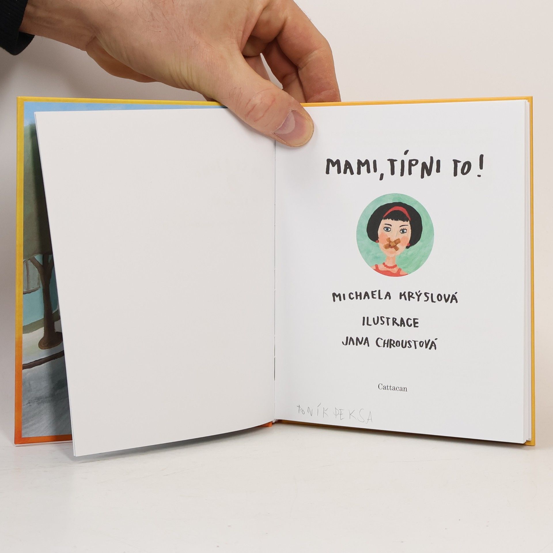 Jana Chroustová Já se z toho picnu: Mami, típni to!