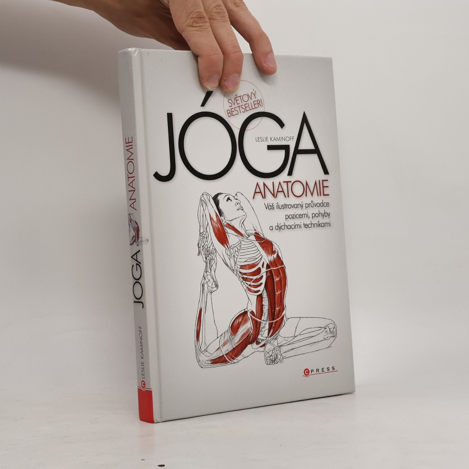 Leslie Kaminoff Jóga - anatomie