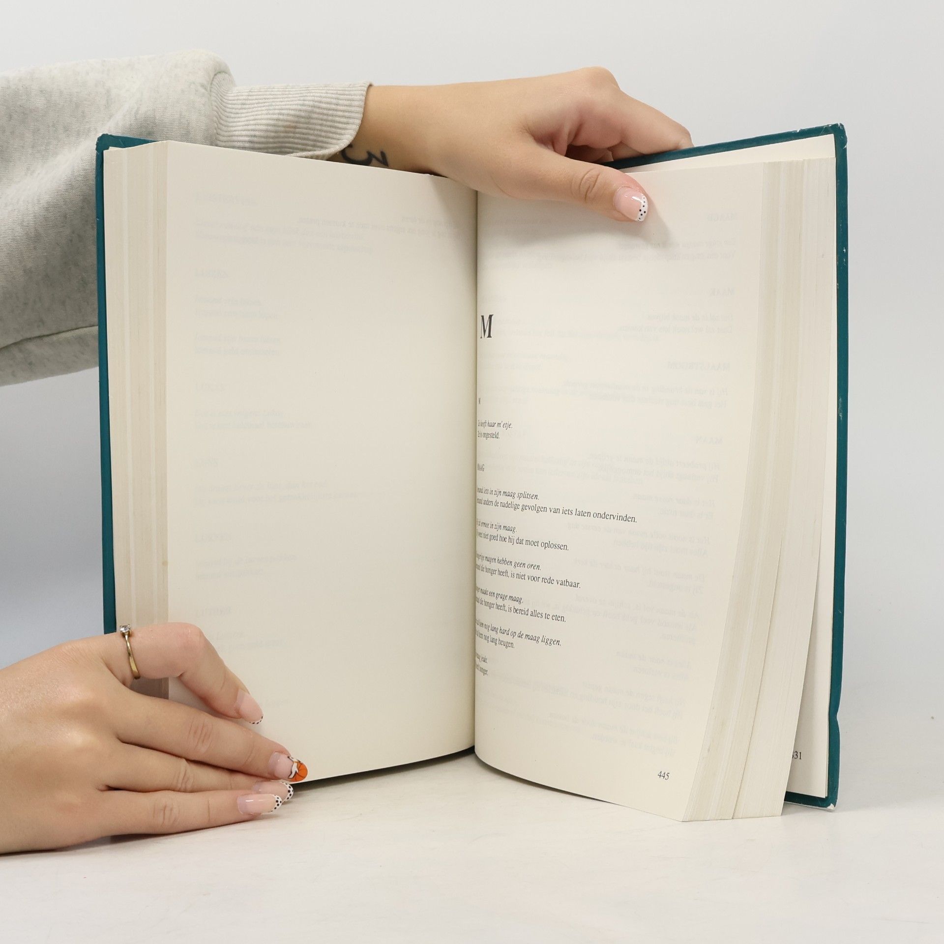 Nel Walters Nederlands Spreekwoordenboek