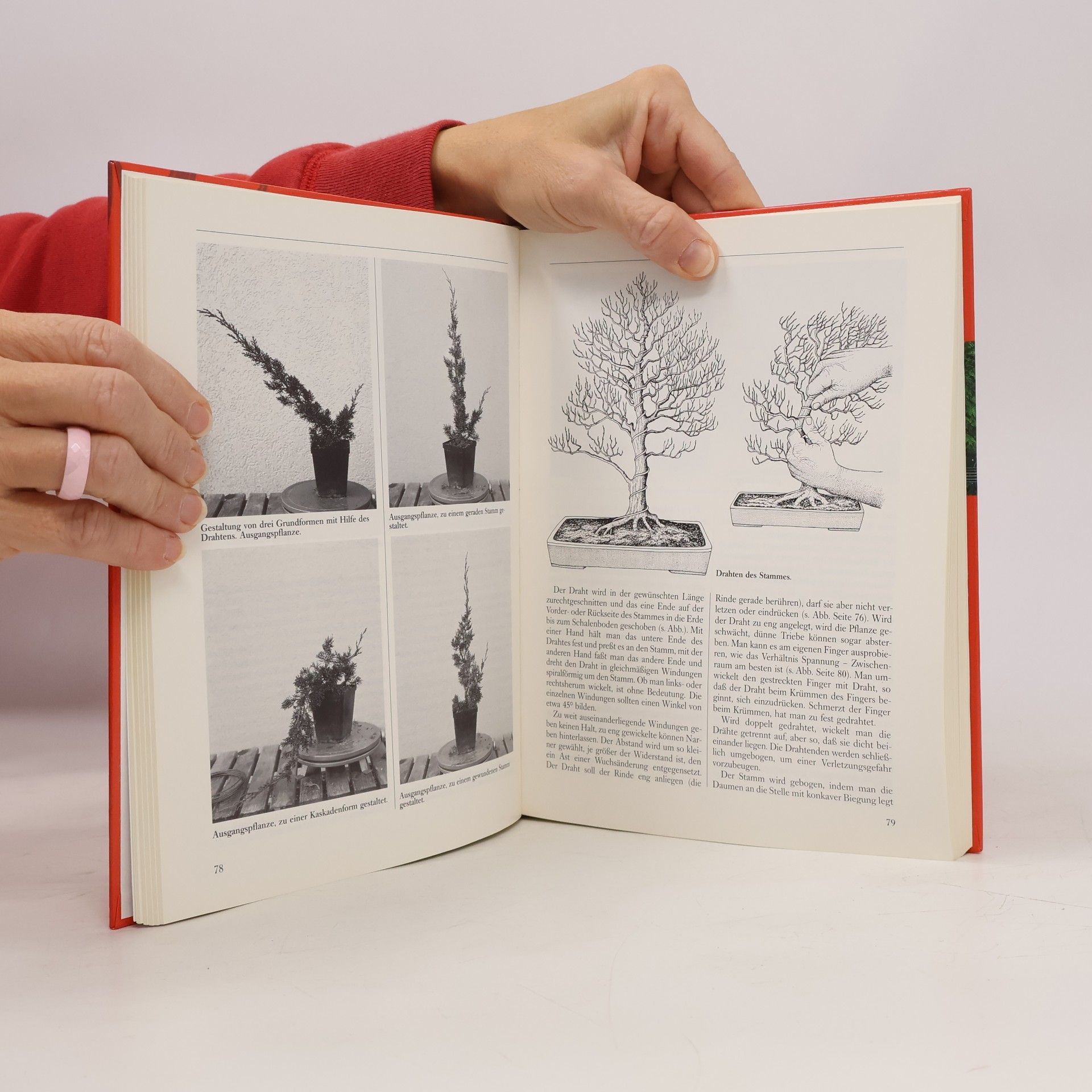 Wolfgang Kawollek Das praktische Bonsai-Buch