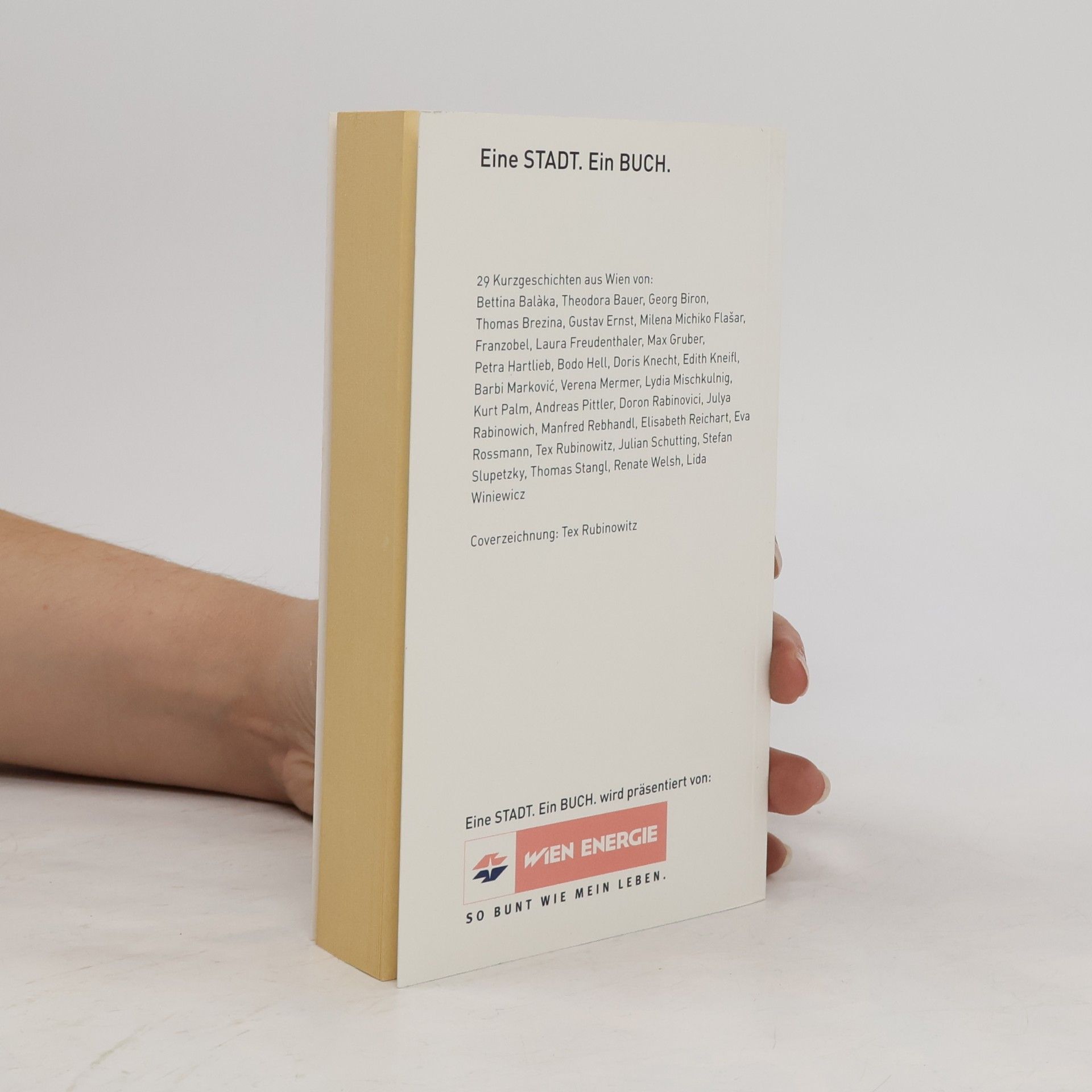 Autorenkollektiv 29 Kurzgeschichten aus Wien