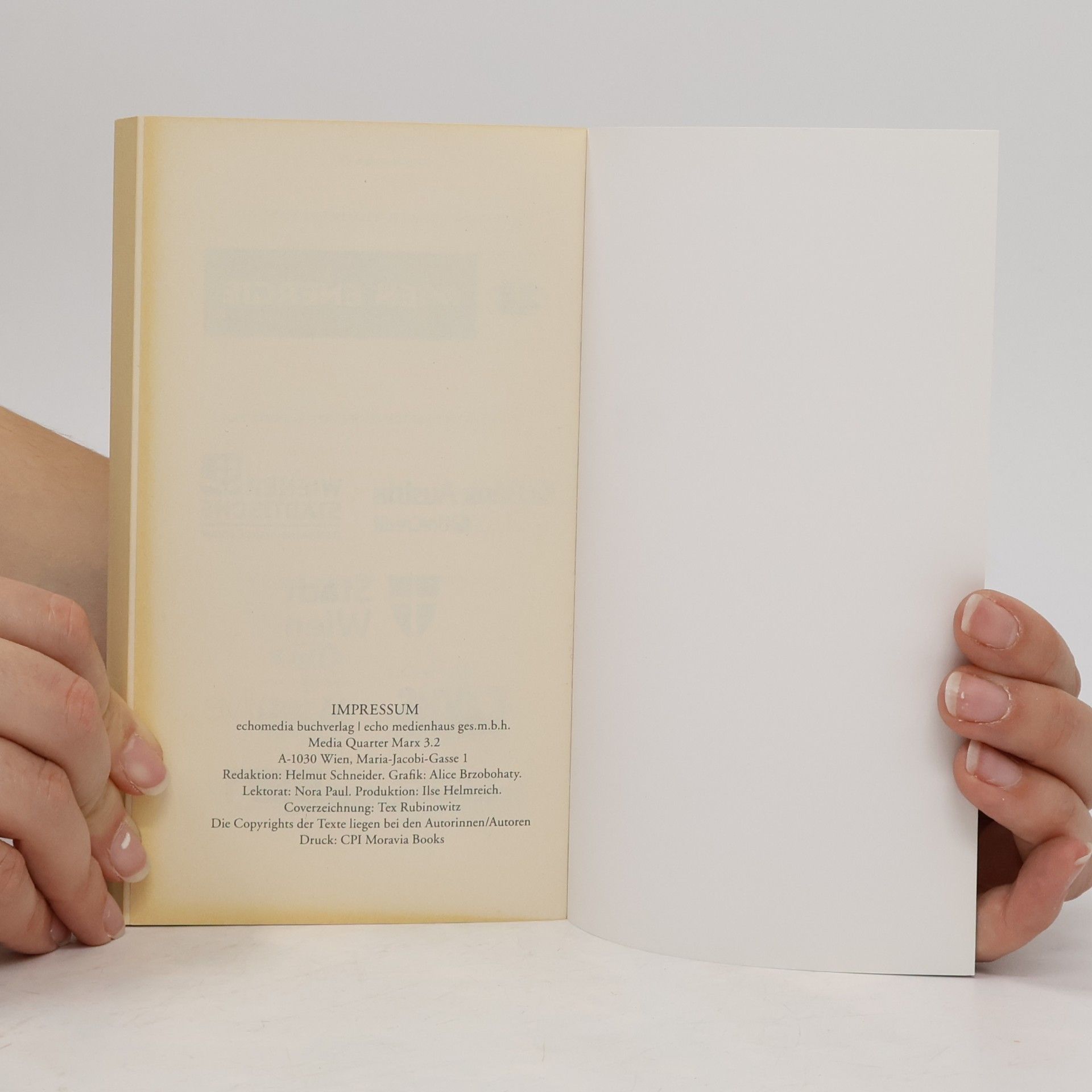 Autorenkollektiv 29 Kurzgeschichten aus Wien