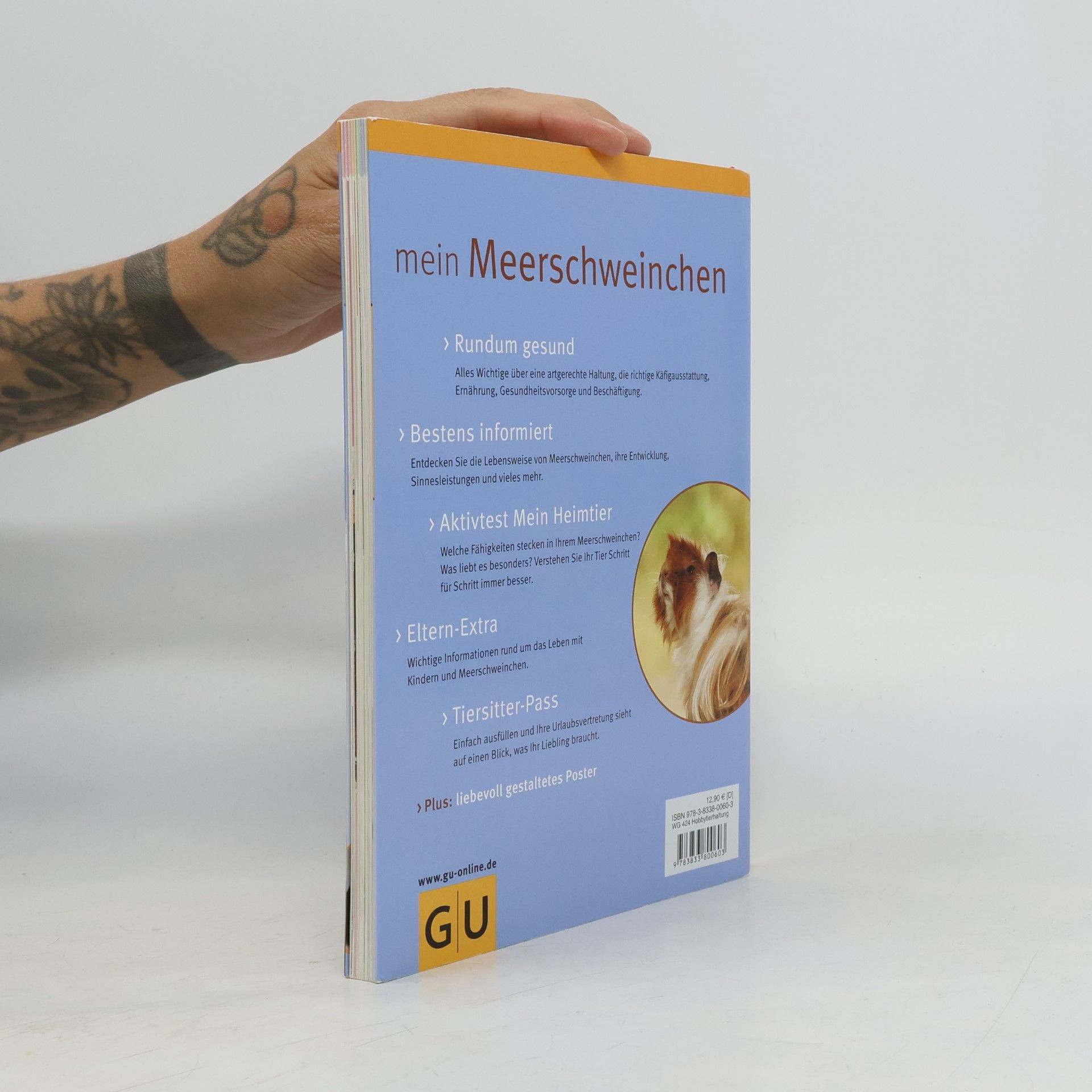 Immanuel Birmelin Mein Meerschweinchen