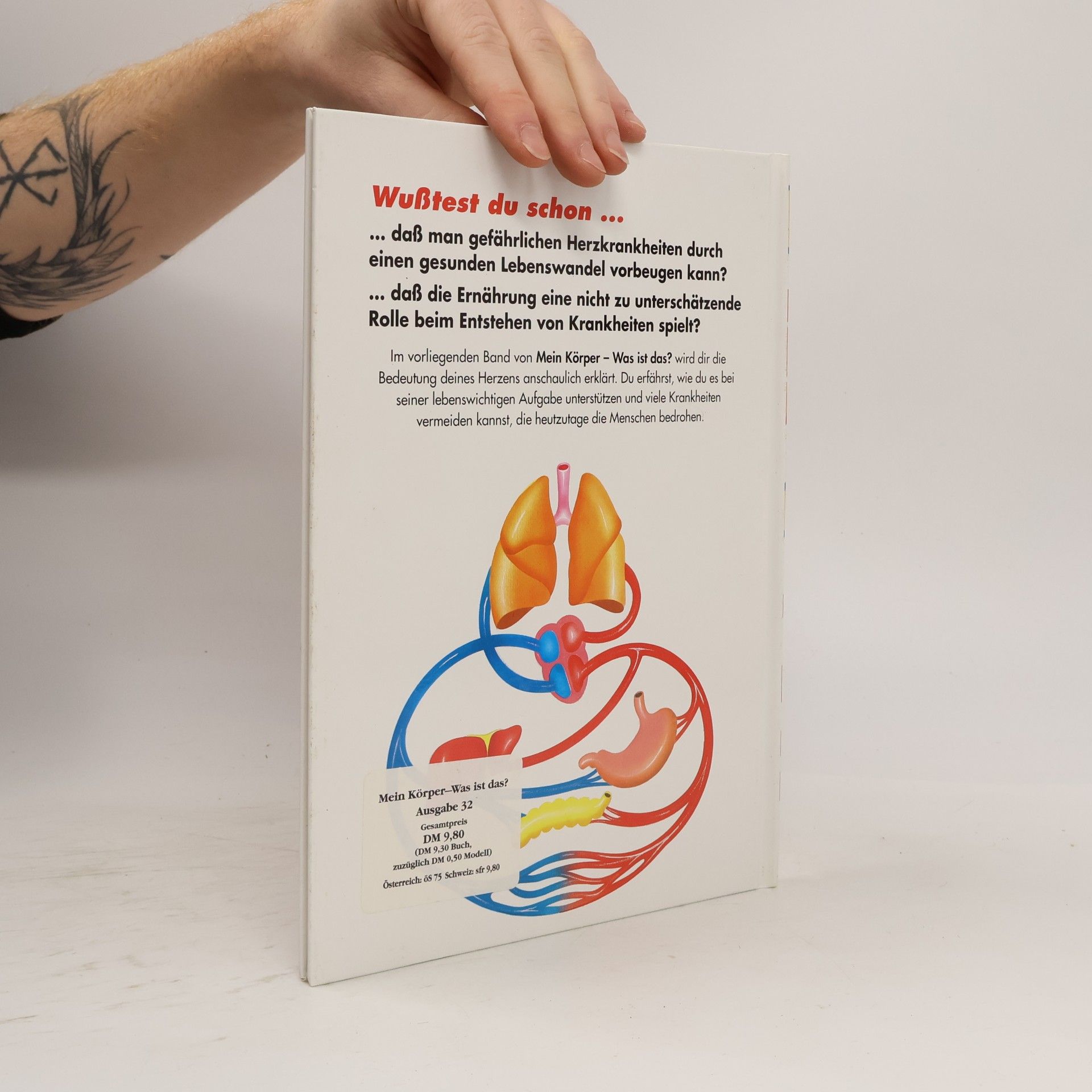 Kolektiv autorů Mein Körper was ist das? 32. Das Kreislaufsystem