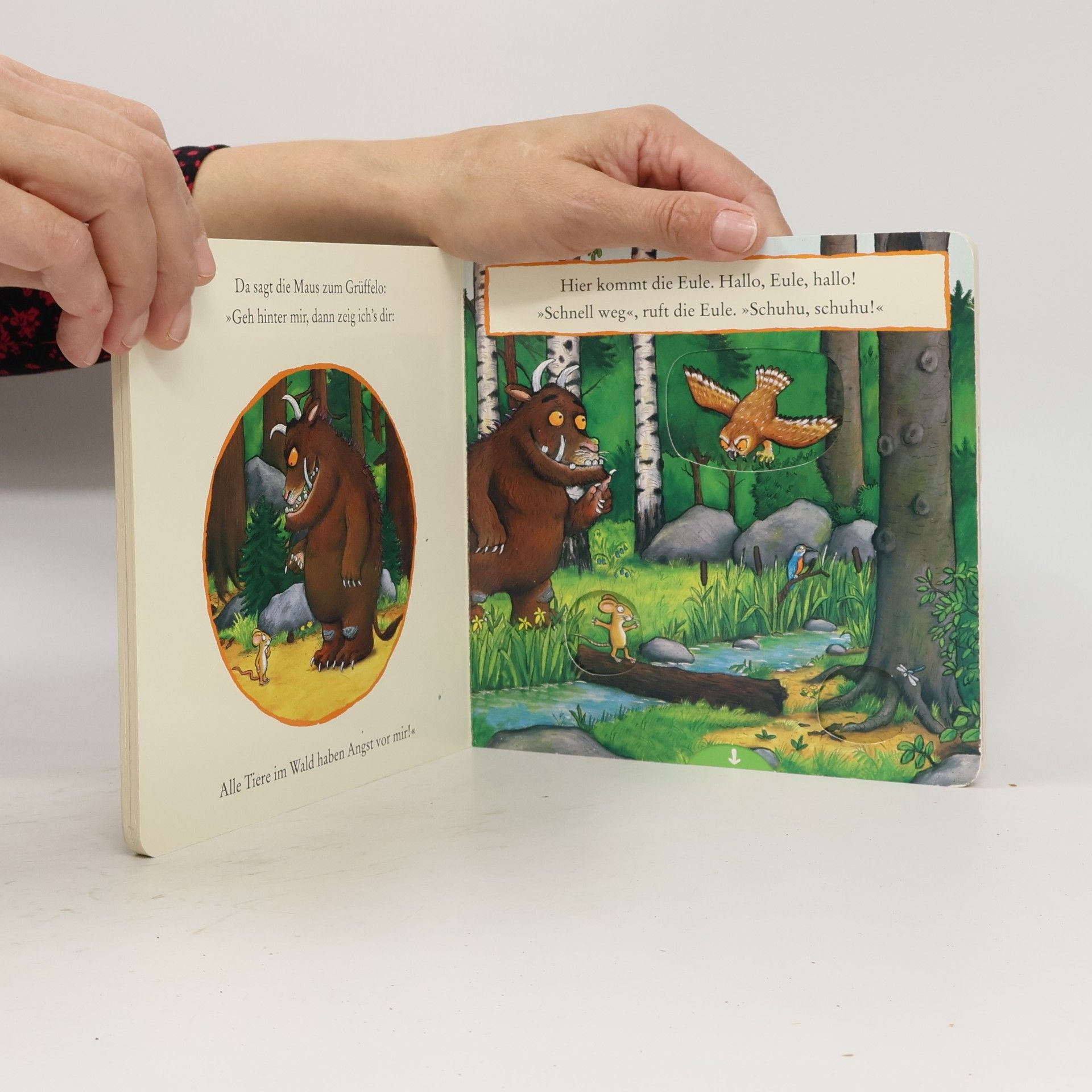 Axel Scheffler Der Grüffelo