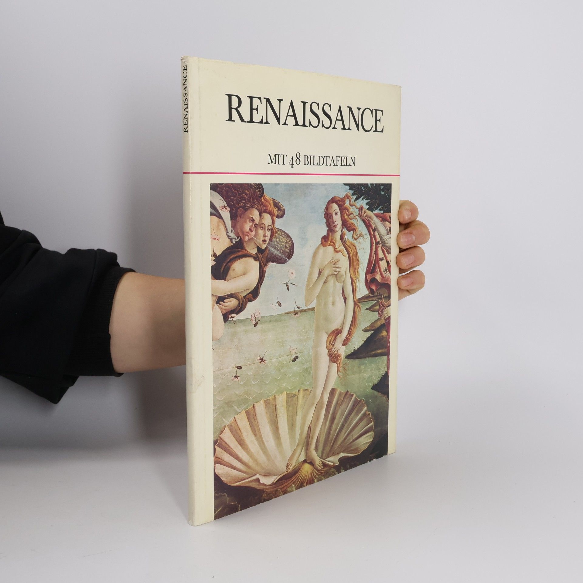 Autorenkollektiv Renaissance mit 48 Bildtafeln