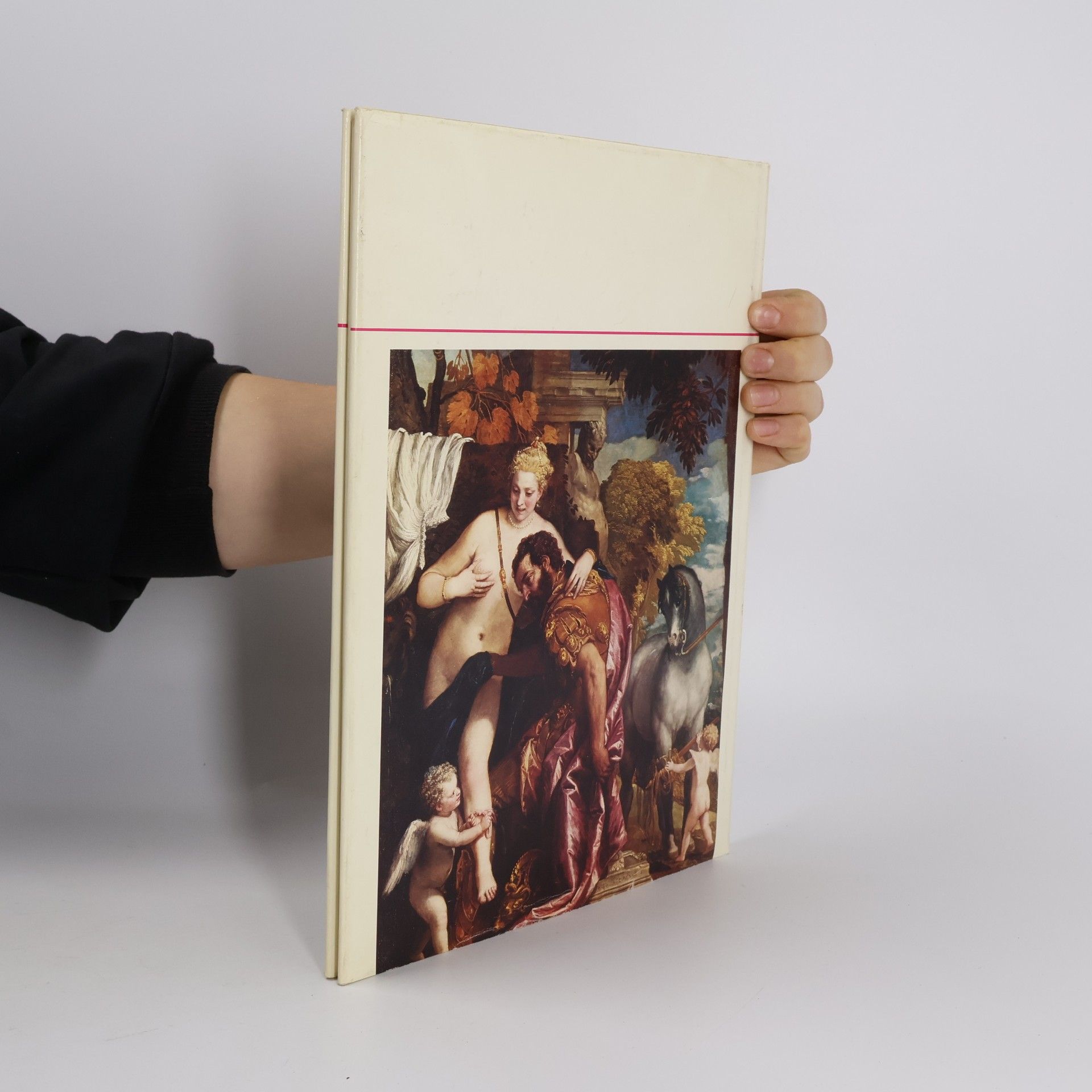 Autorenkollektiv Renaissance mit 48 Bildtafeln