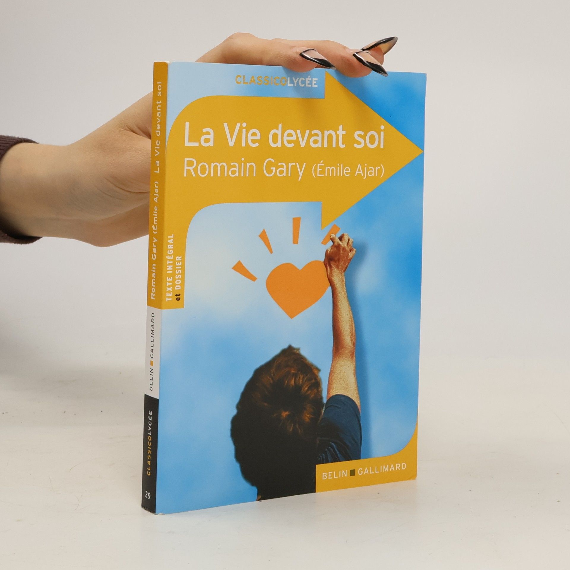 Domenica Brassel La Vie devant soi
