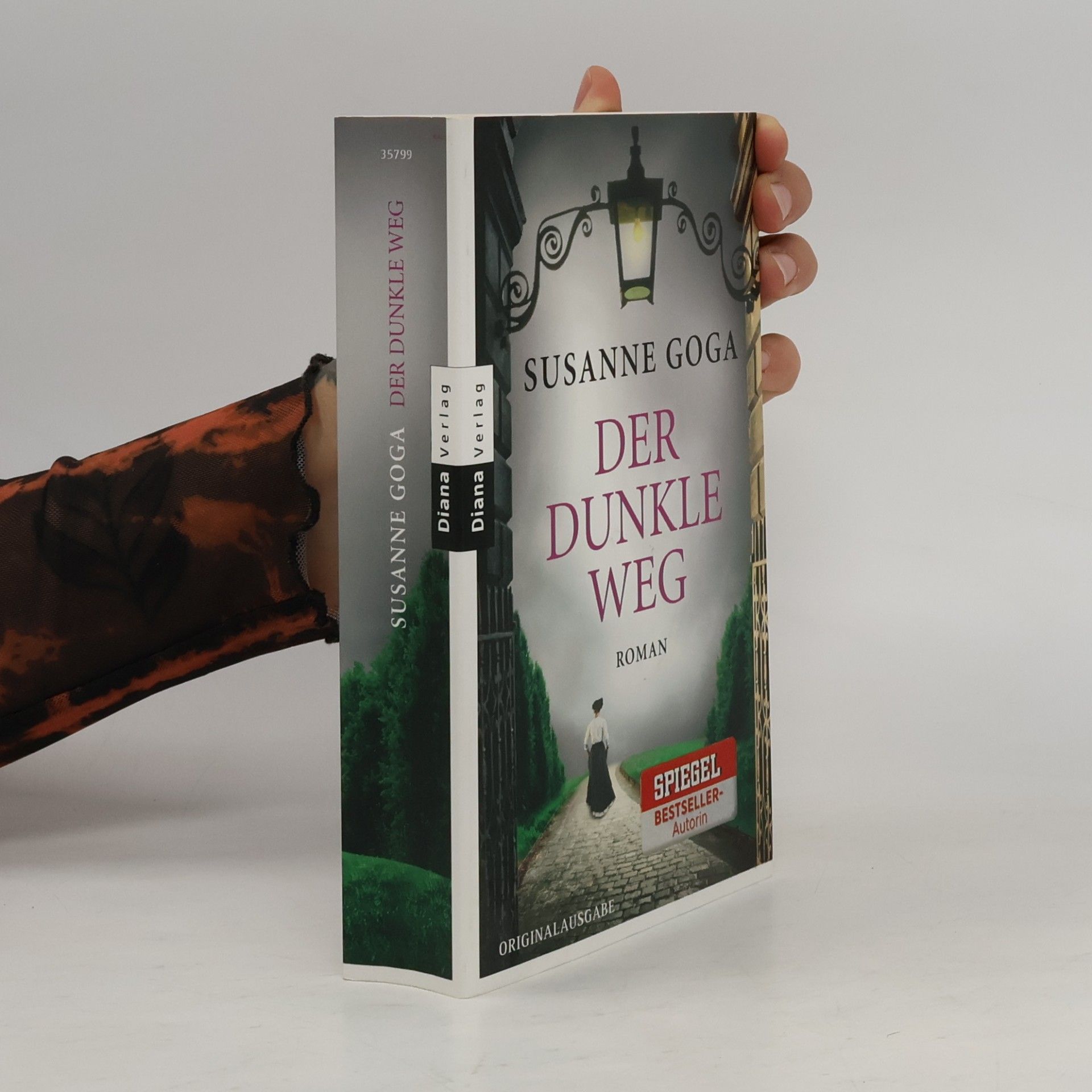 Susanne Goga Der dunkle Weg