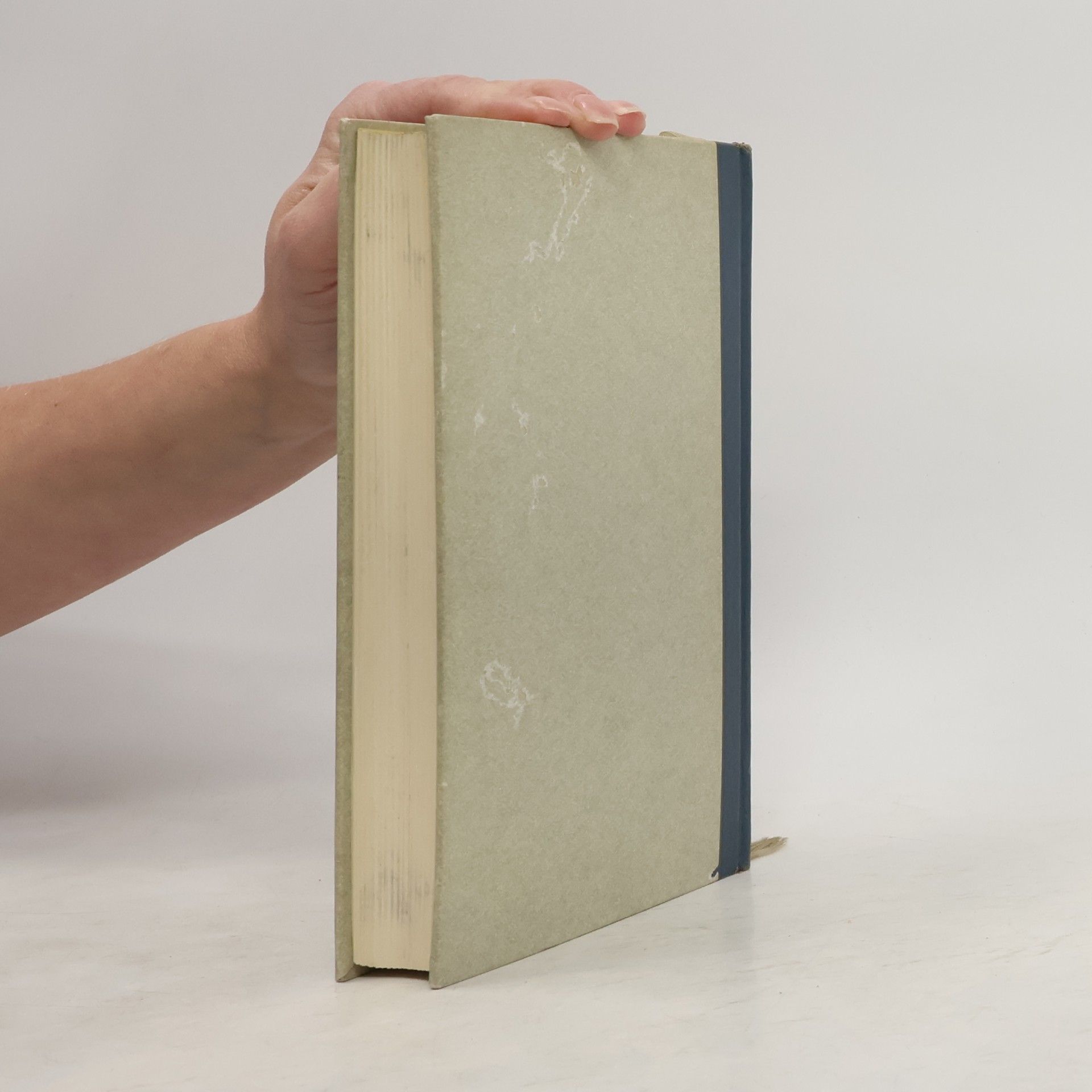 Ernst Jünger Das Sanduhrbuch
