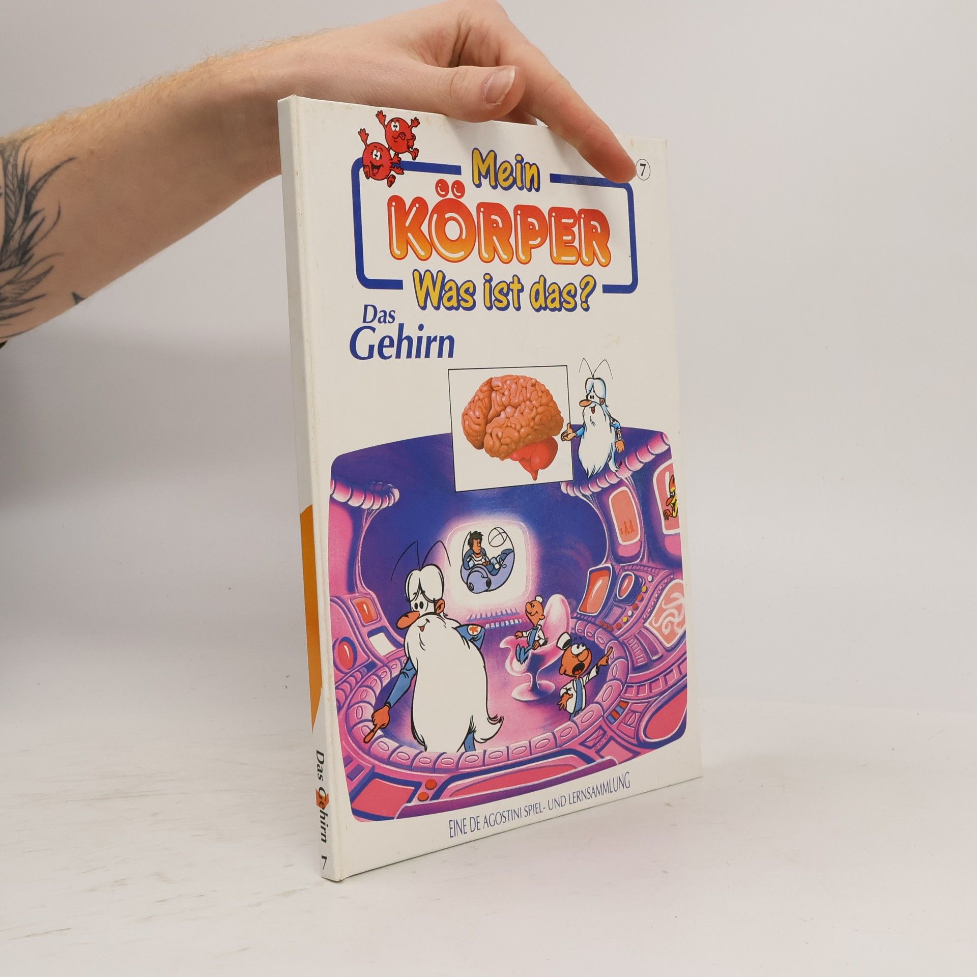 Autorenkollektiv Mein Körper 7. Was ist das? Das Gehirn