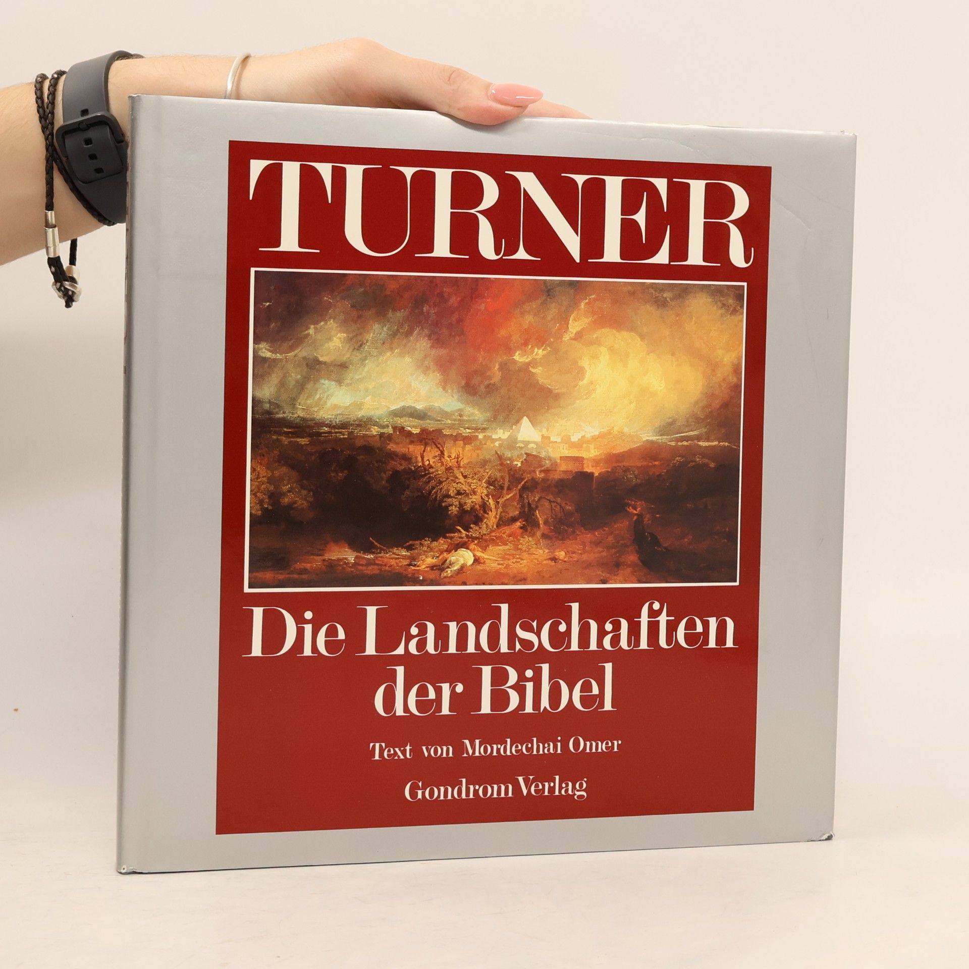 Mordechai Omer Turner. Die Landschaften Der Bibel
