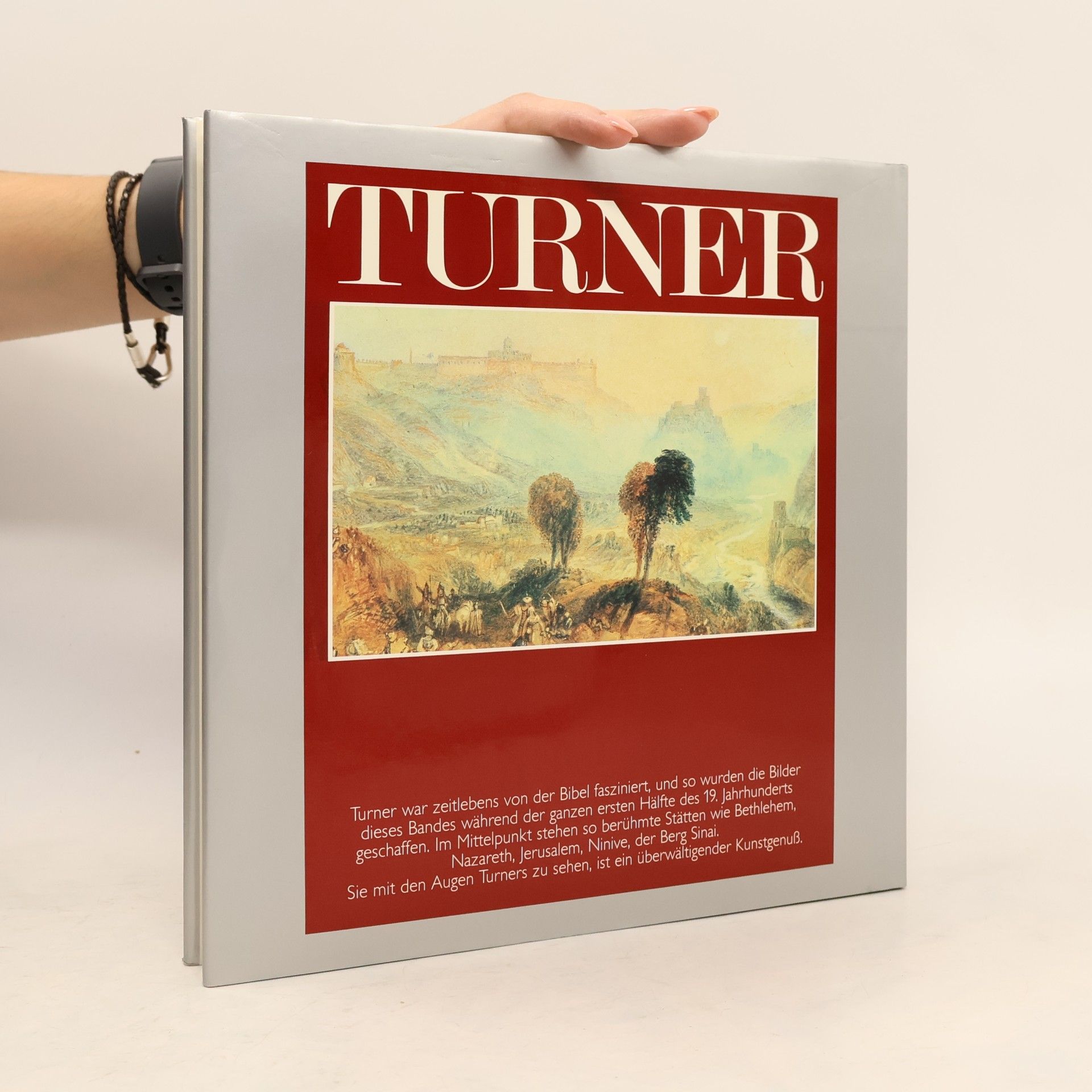 Mordechai Omer Turner. Die Landschaften Der Bibel
