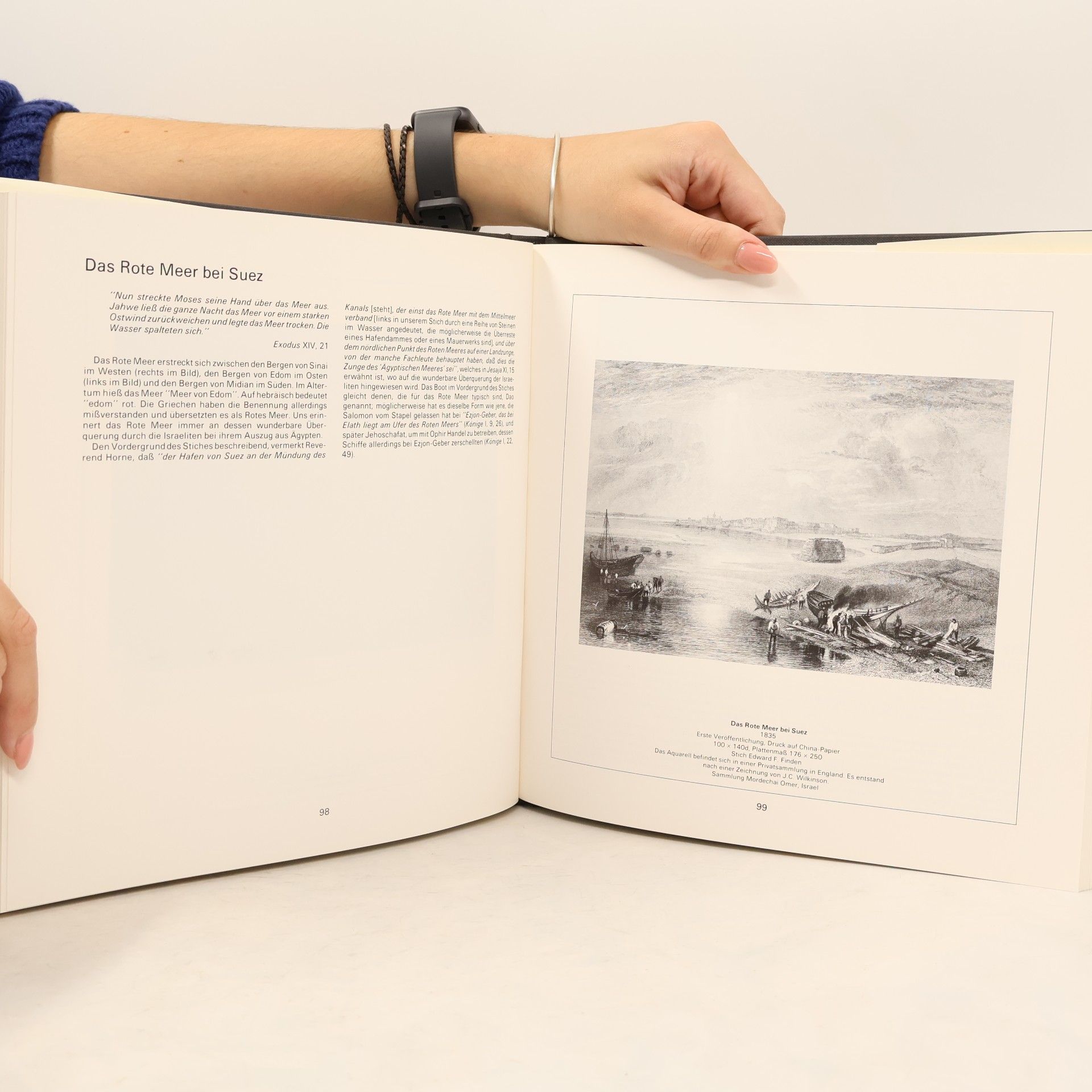 Mordechai Omer Turner. Die Landschaften Der Bibel