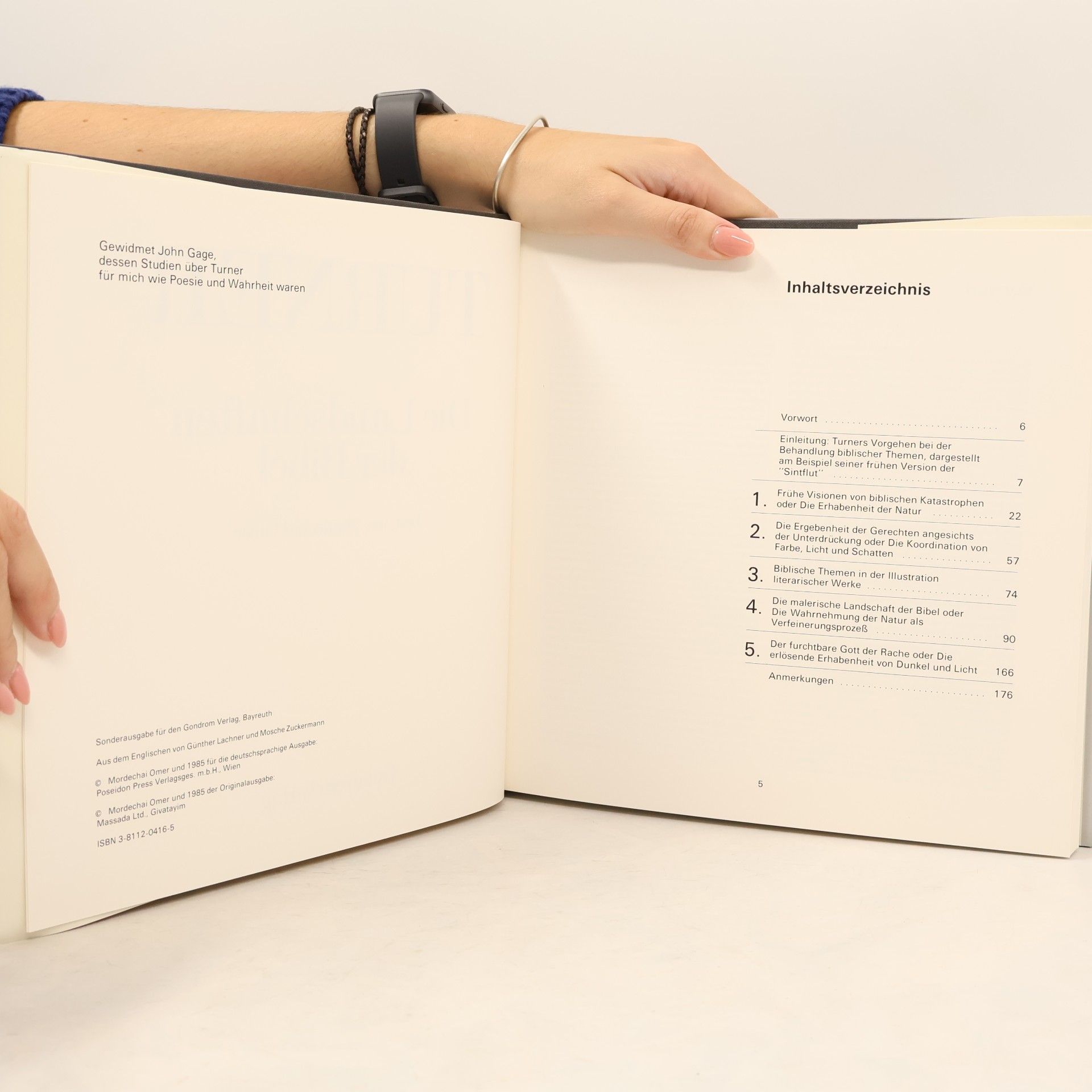 Mordechai Omer Turner. Die Landschaften Der Bibel