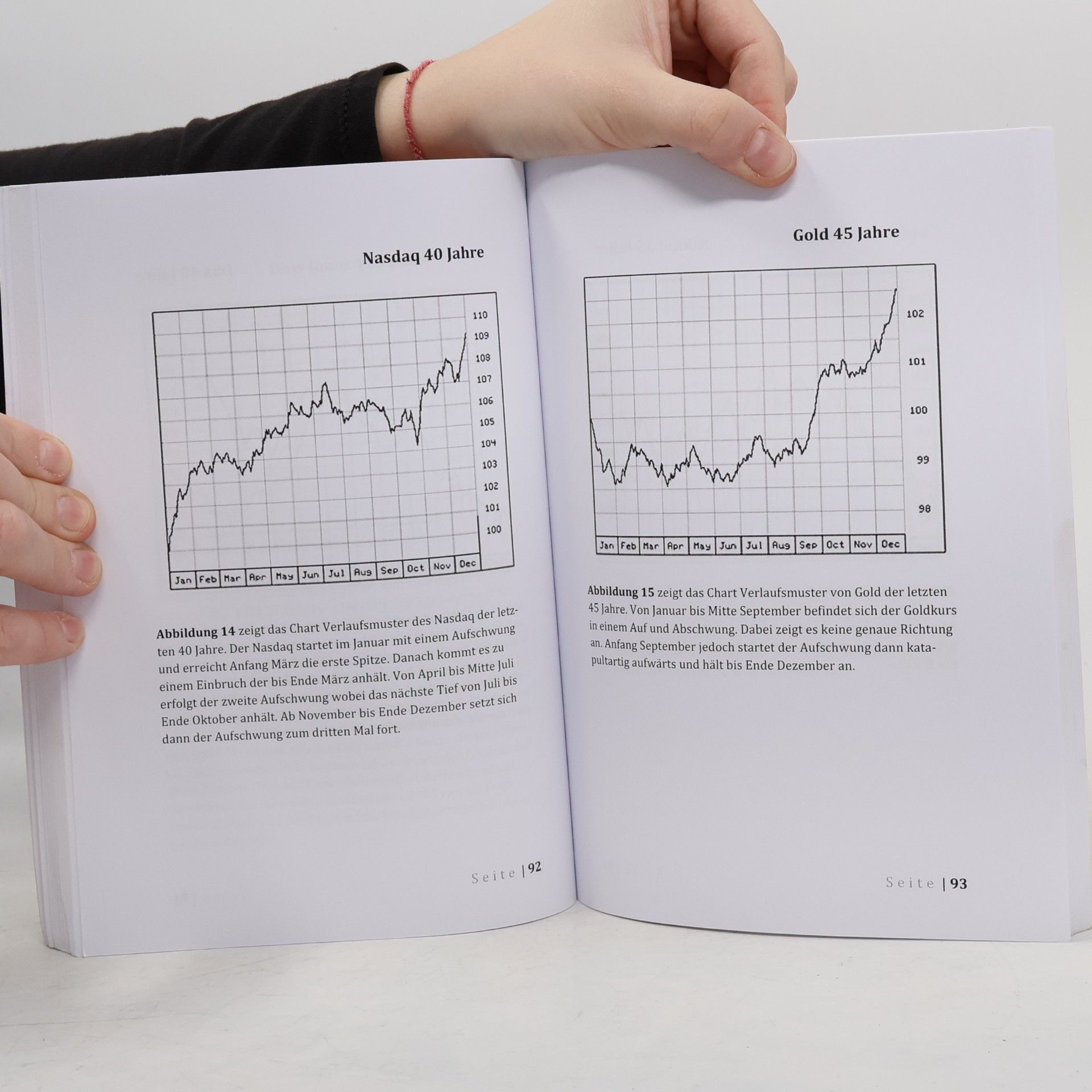 Richard Martin Goldman Die Strategien der Börsenmillionäre