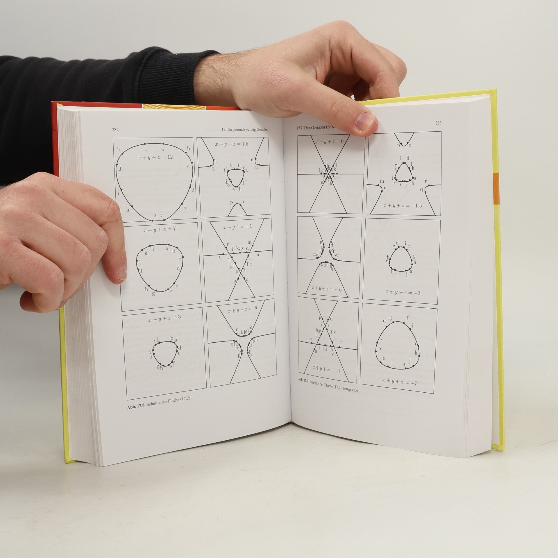 Dmitrij Borisovič Fuks Ein Schaubild der Mathematik