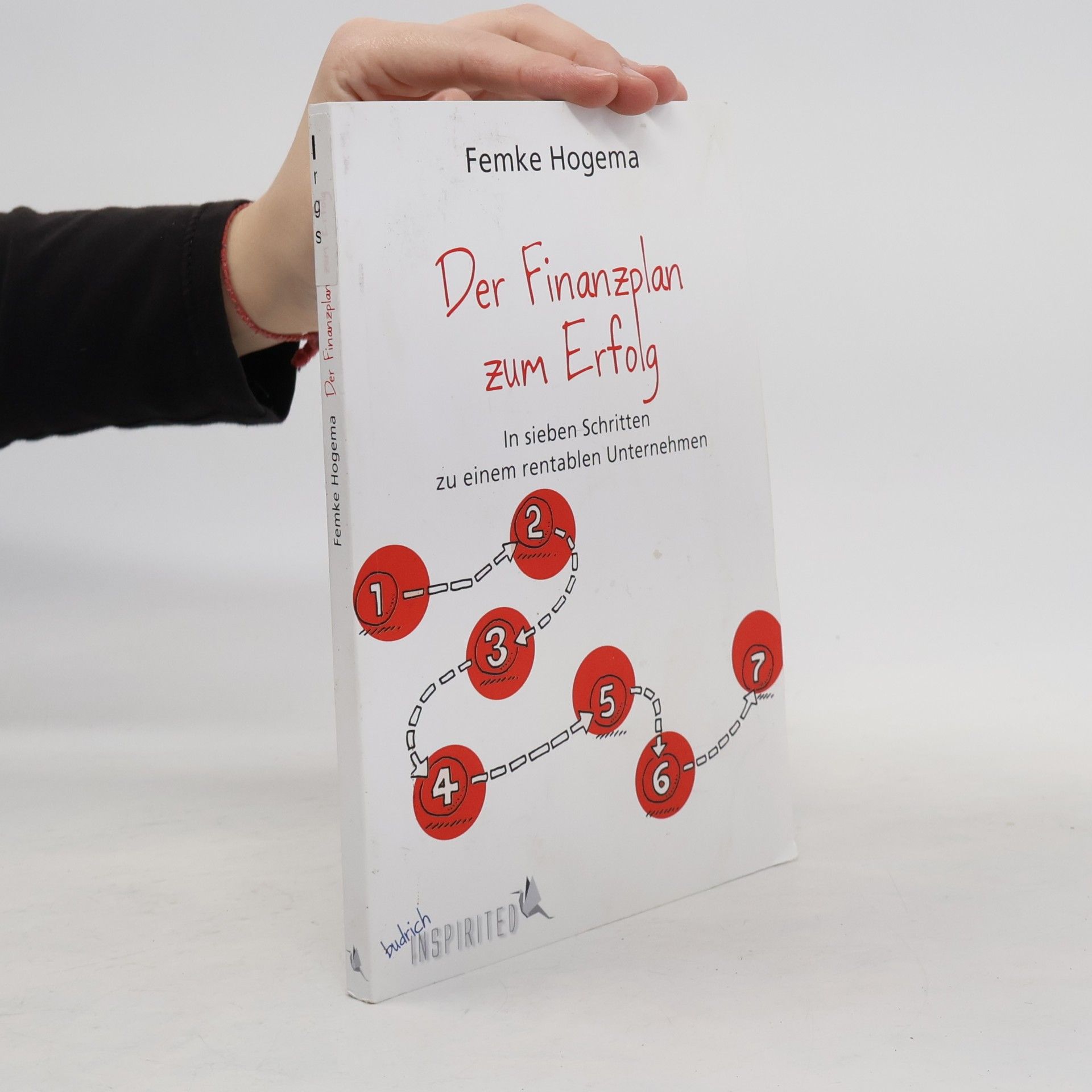 Femke Hogema Der Finanzplan zum Erfolg