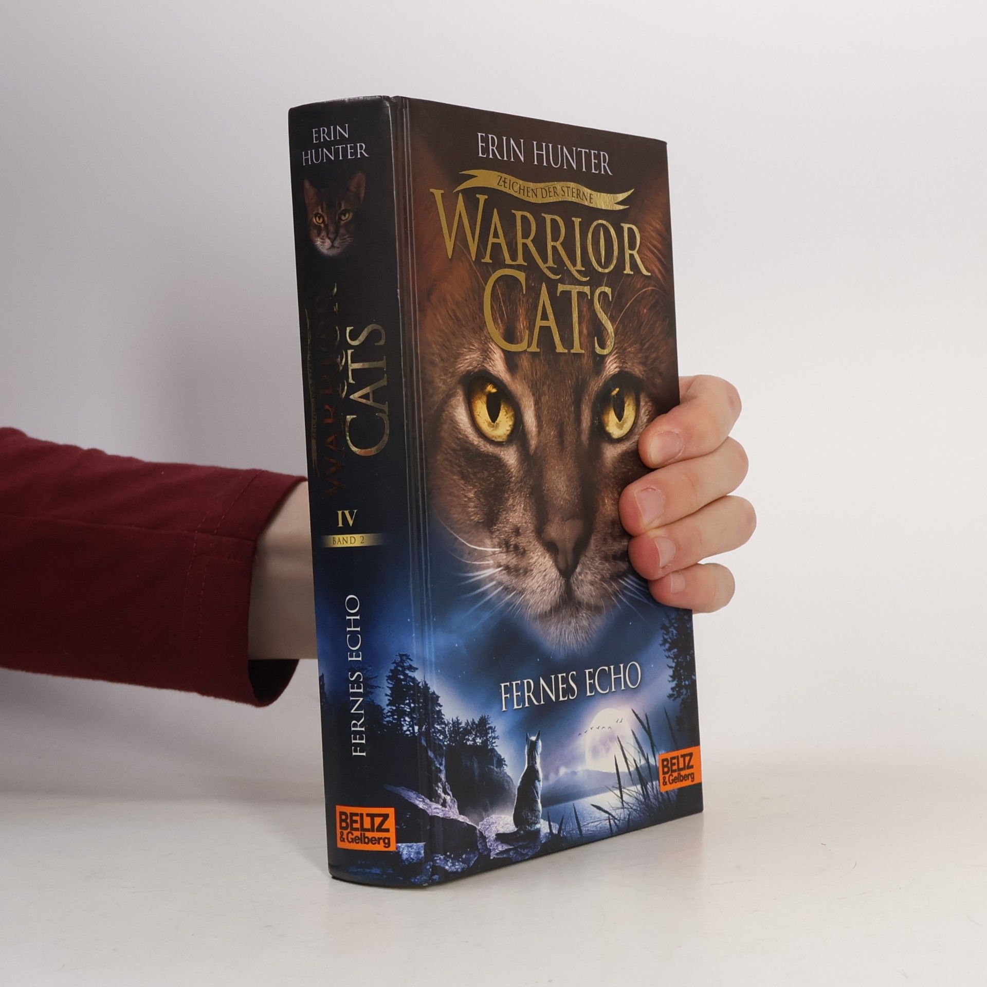 Warrior Cats IV. Band 2. Fernes Echo