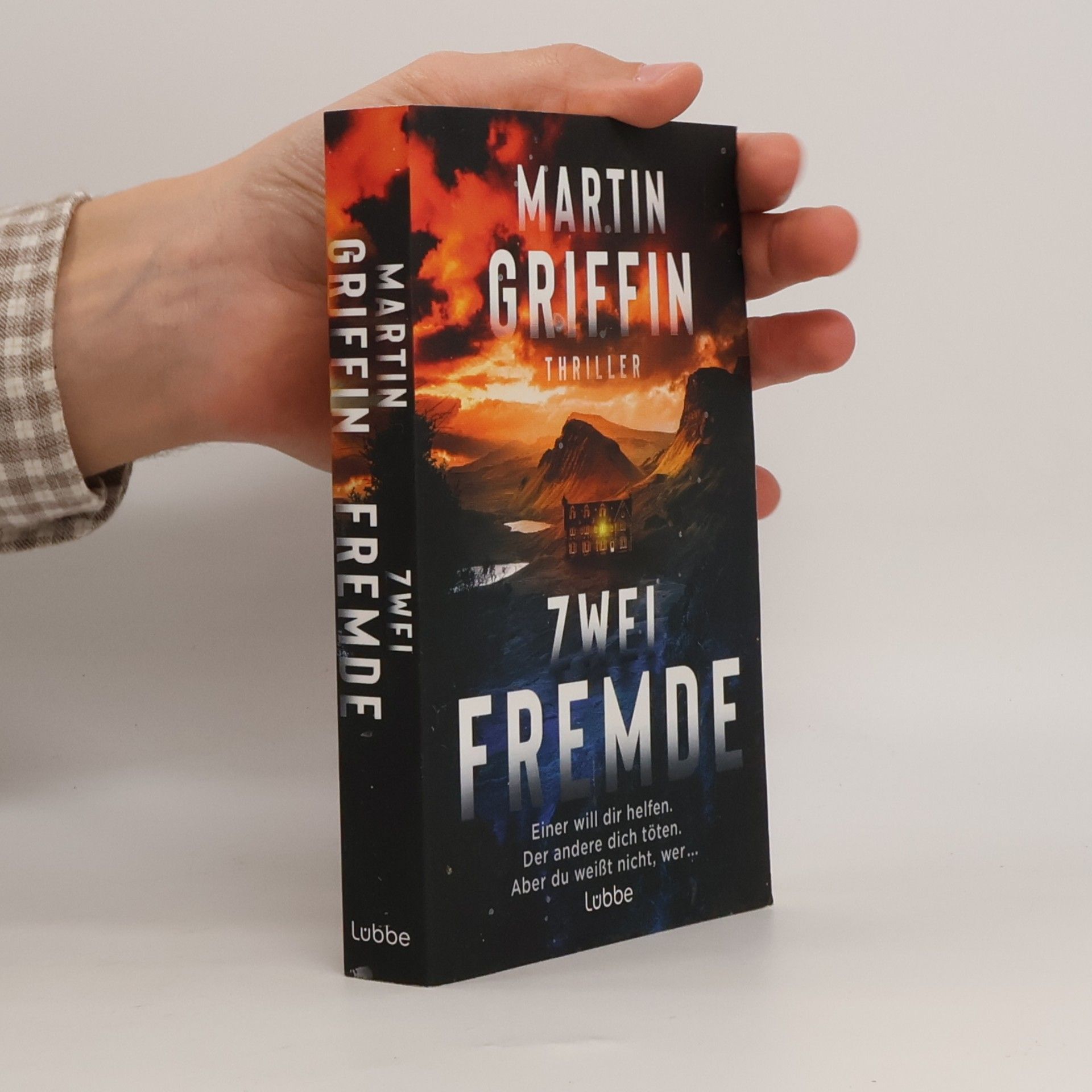 Martin Griffin Zwei Fremde