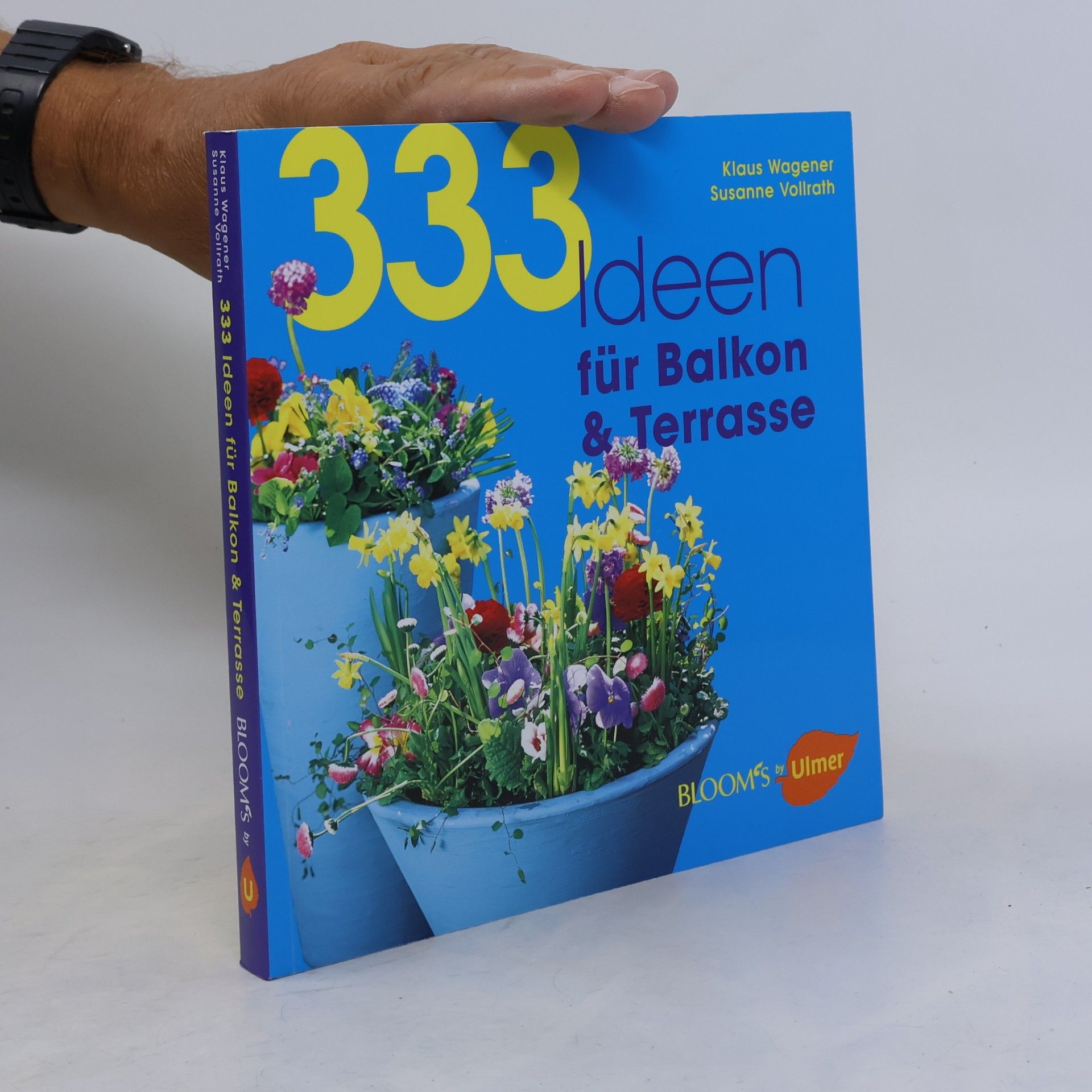 333 Ideen für Balkon & Terrasse