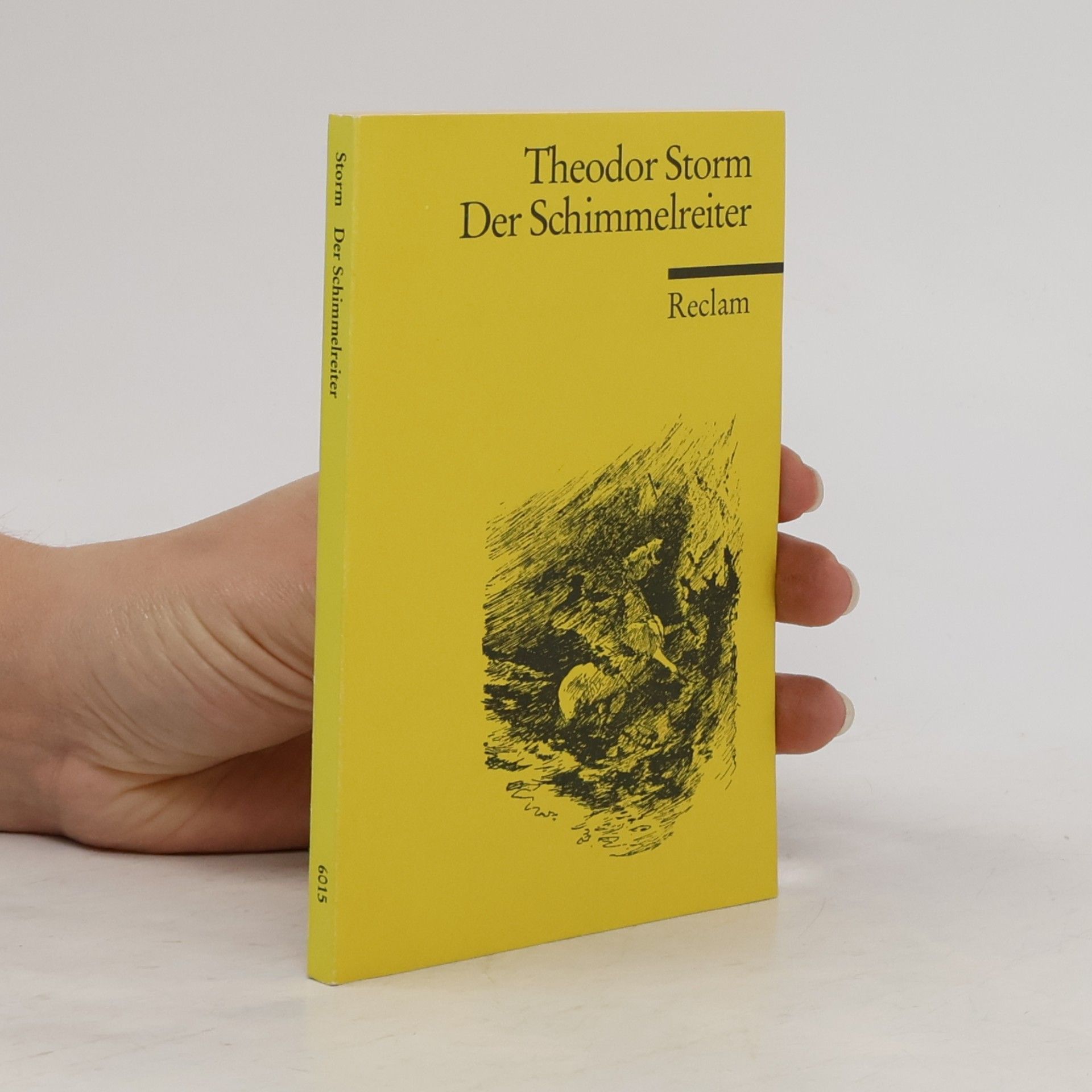 Theodor Storm Der Schimmelreiter