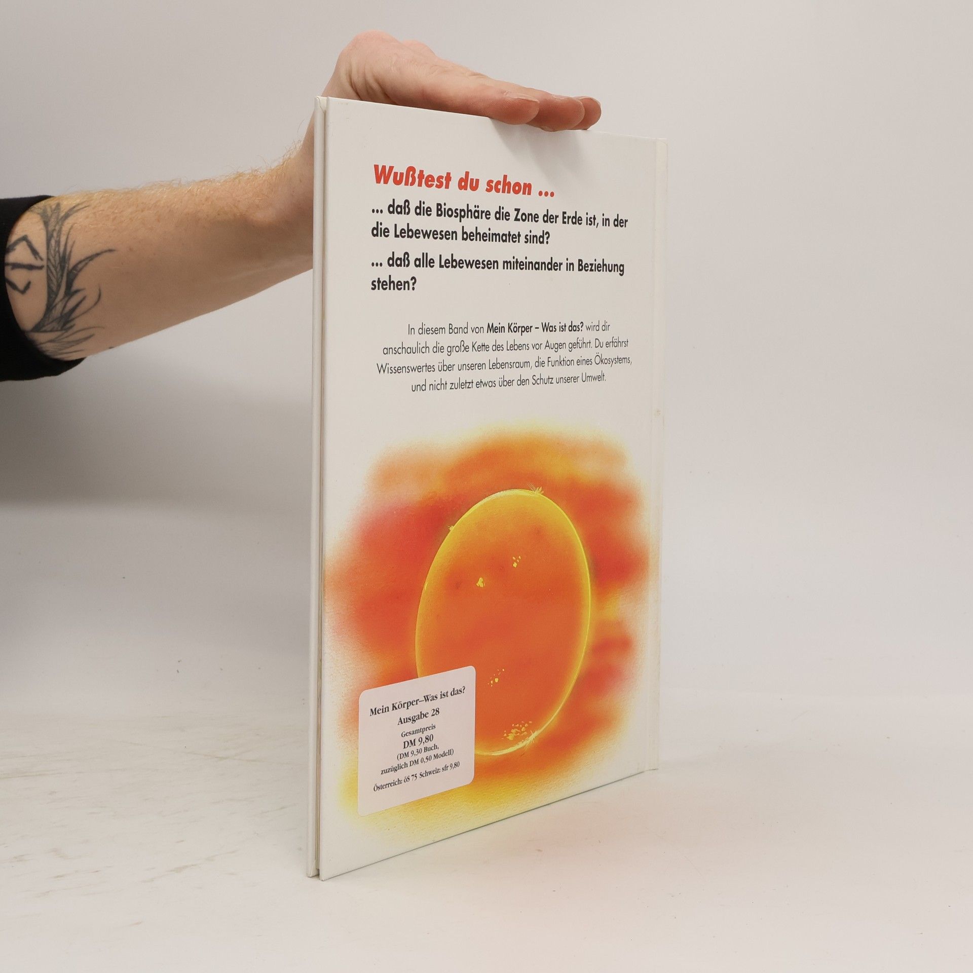 Autorenkollektiv Mein Körper. Was ist das? Die Nahrungskette