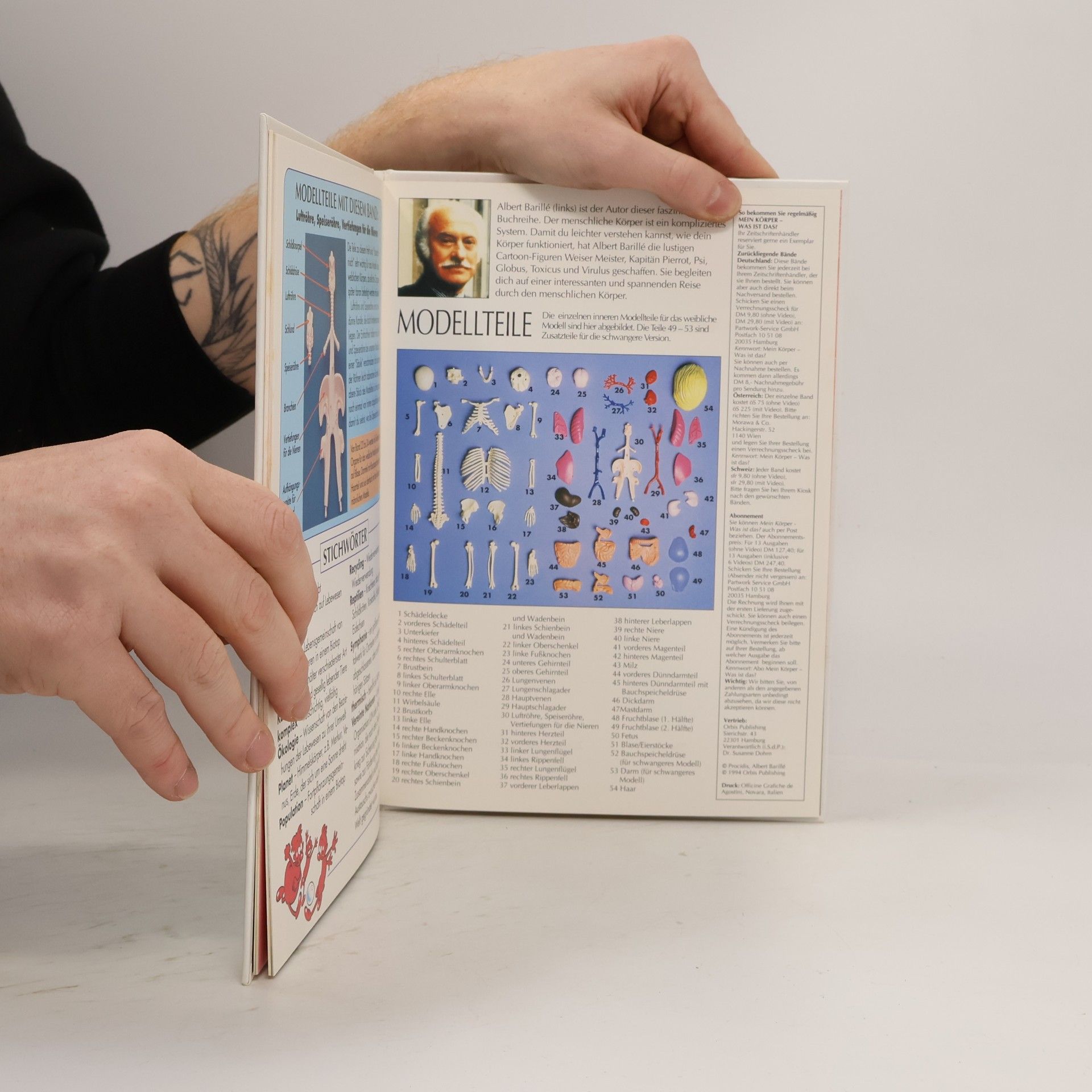 Autorenkollektiv Mein Körper. Was ist das? Die Nahrungskette