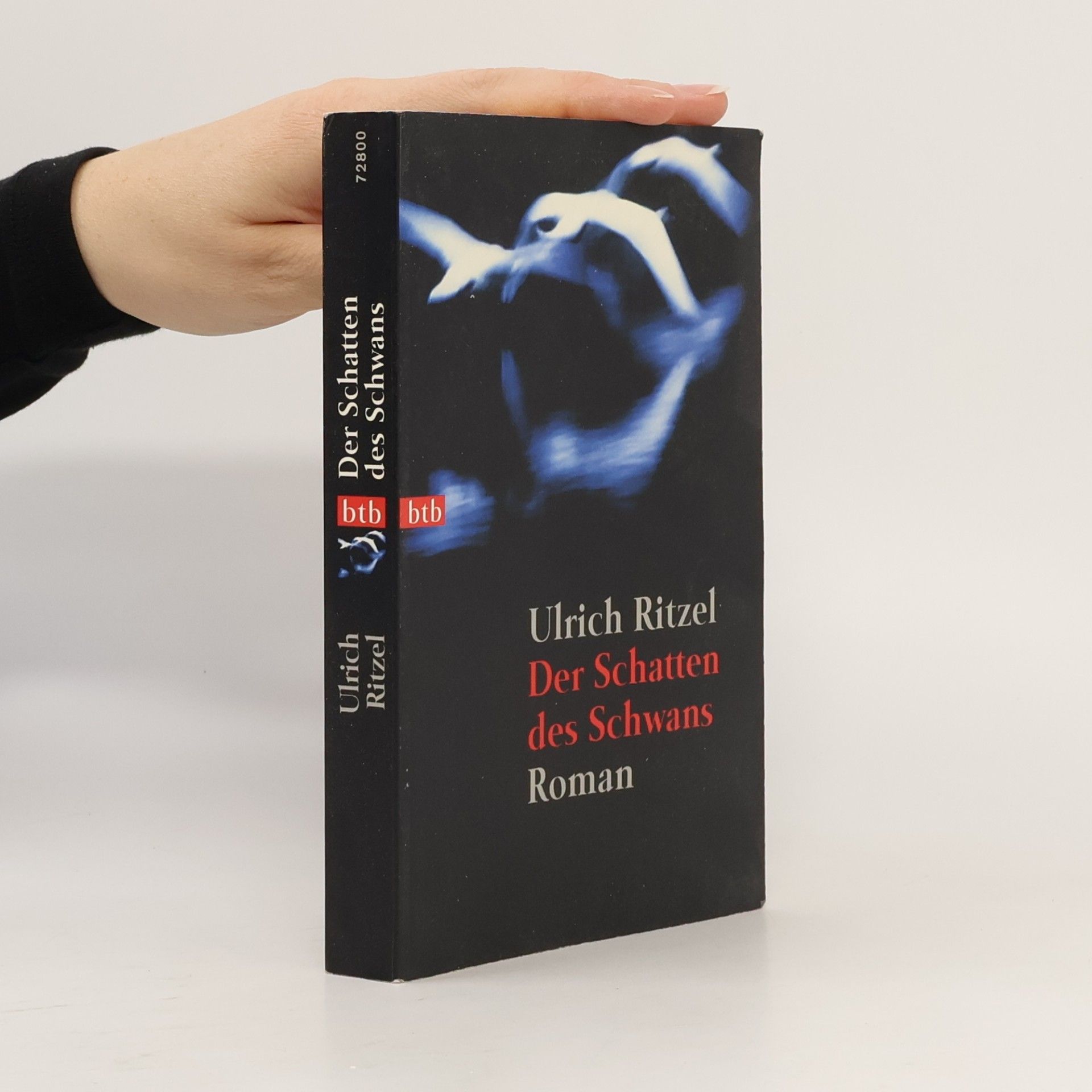 Der Schatten des Schwans