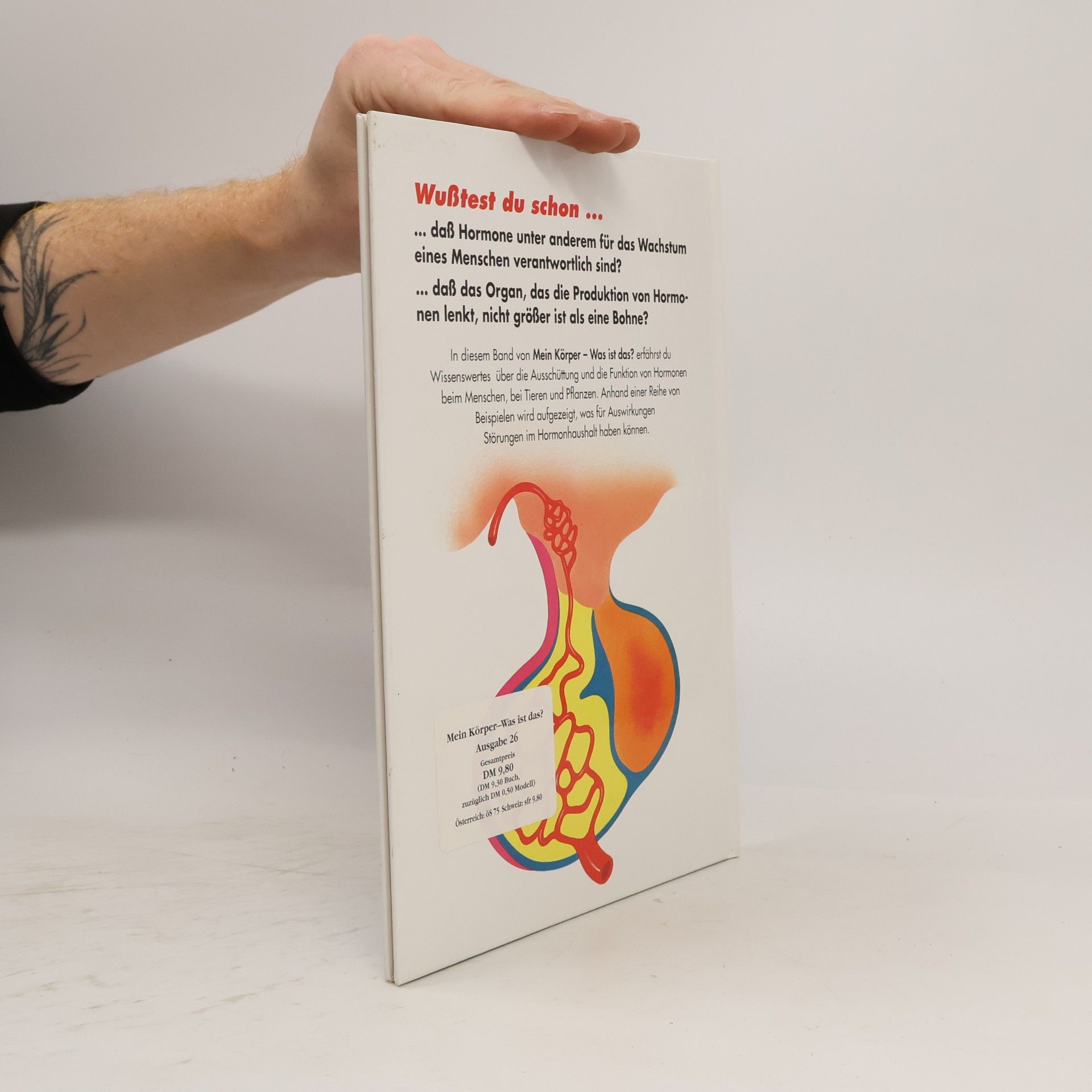 Autorenkollektiv Mein Körper 26. Was ist das? Die Hormone