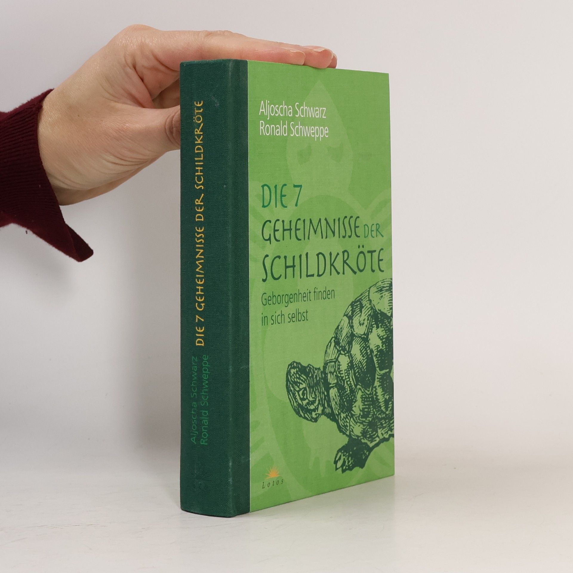 Aljoscha A. Schwarz Die 7 Geheimnisse der Schildkröte