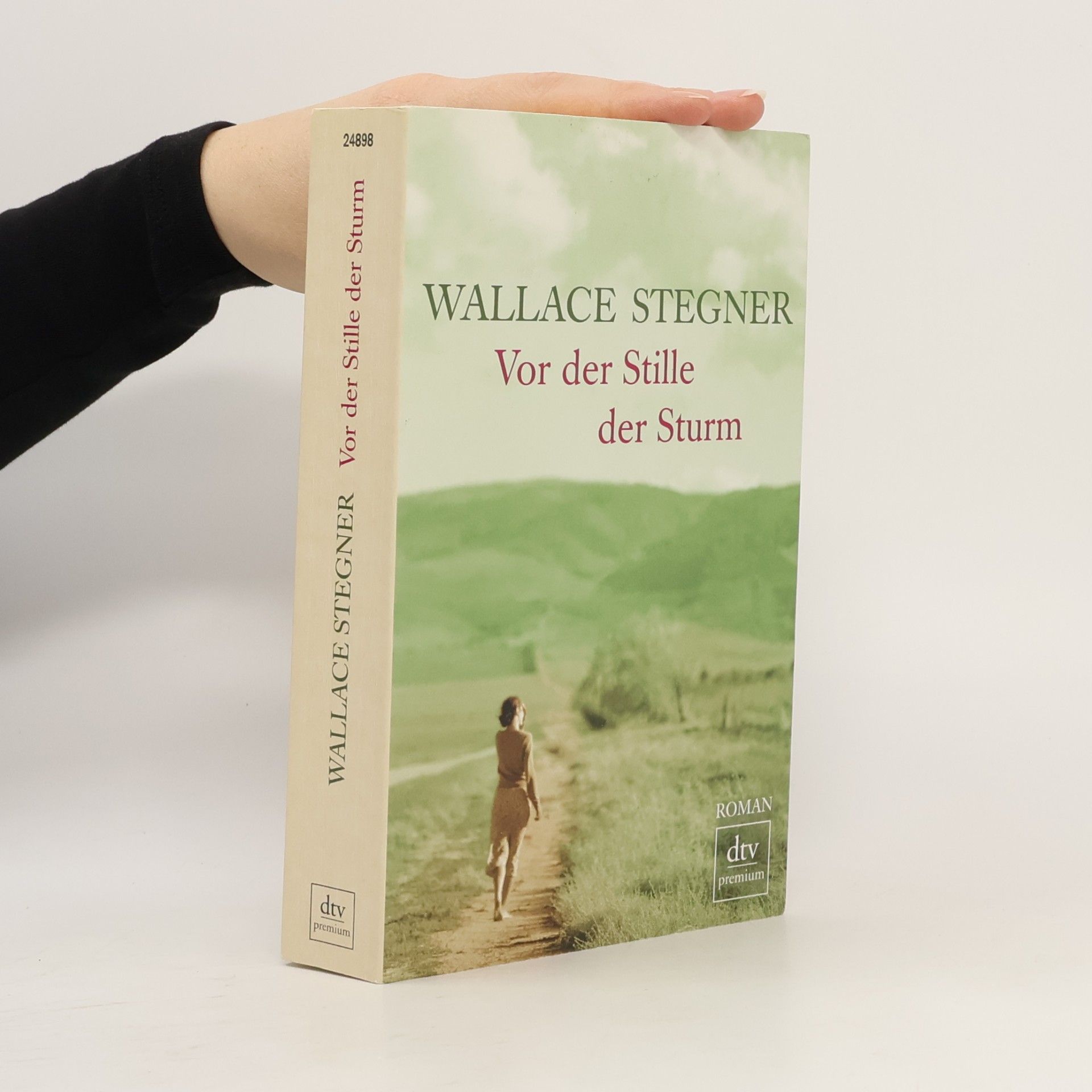 Wallace Stegner Vor der Stille der Sturm