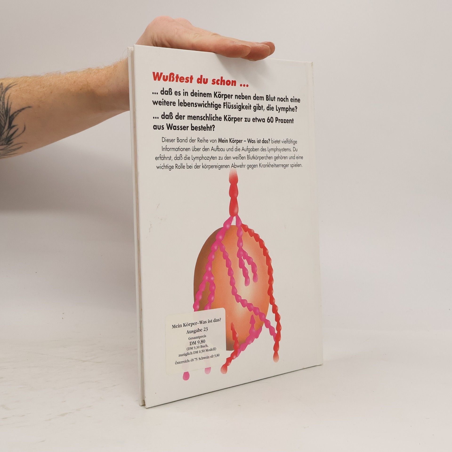 Autorenkollektiv Mein Körper 23. Was ist das? Das Lymphsystem