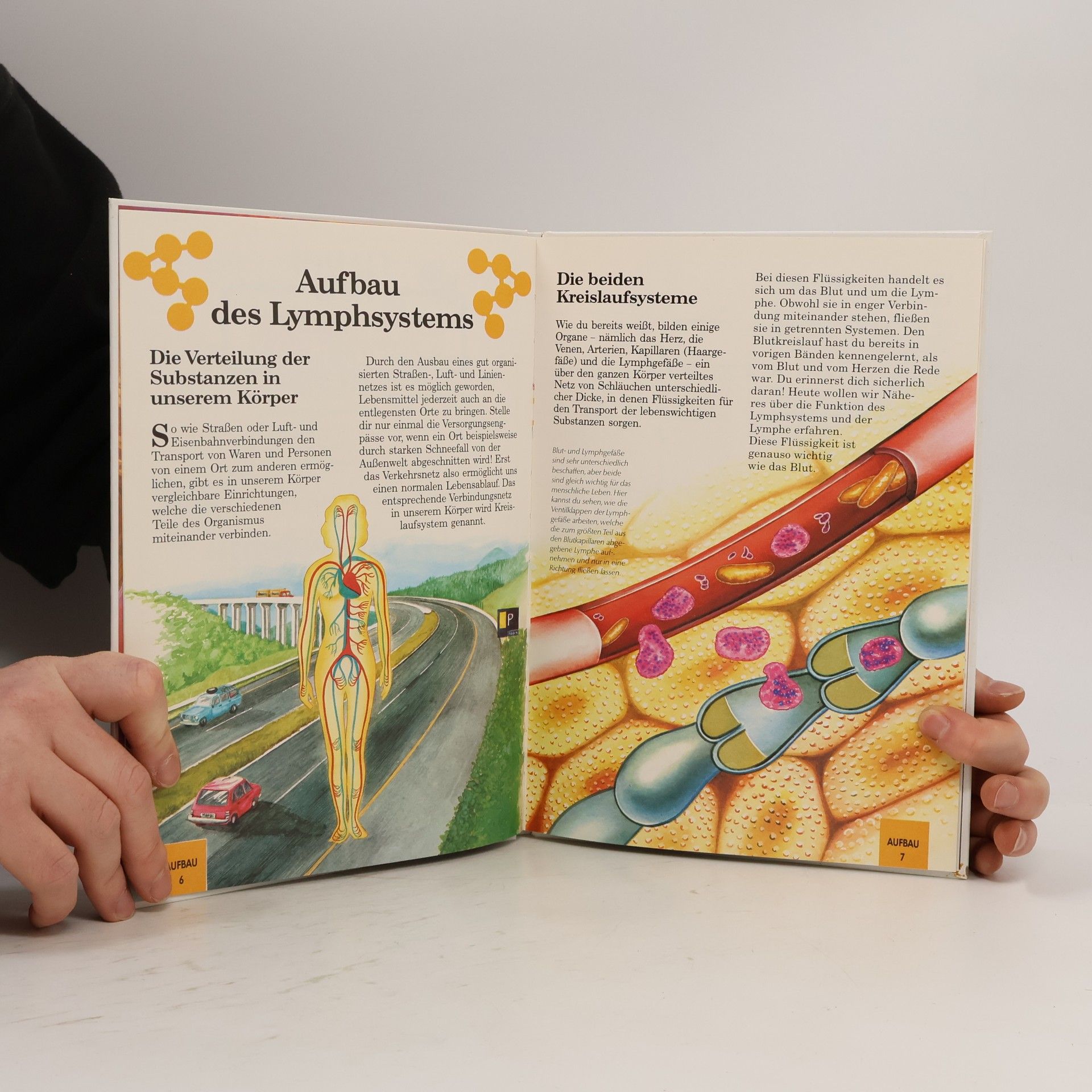 Autorenkollektiv Mein Körper 23. Was ist das? Das Lymphsystem