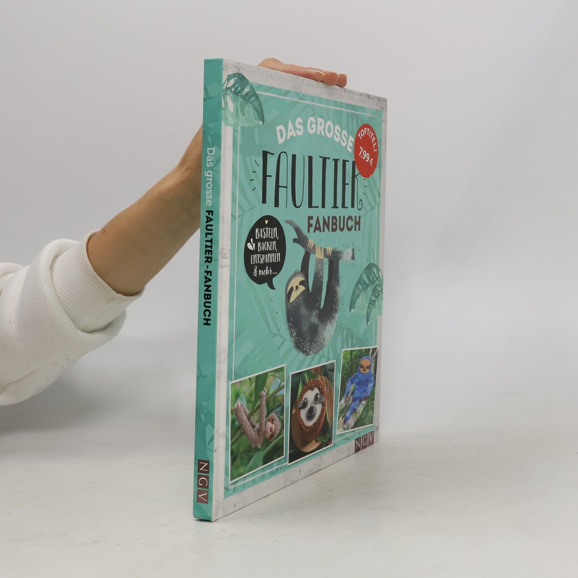 Das große Faultier-Fanbuch