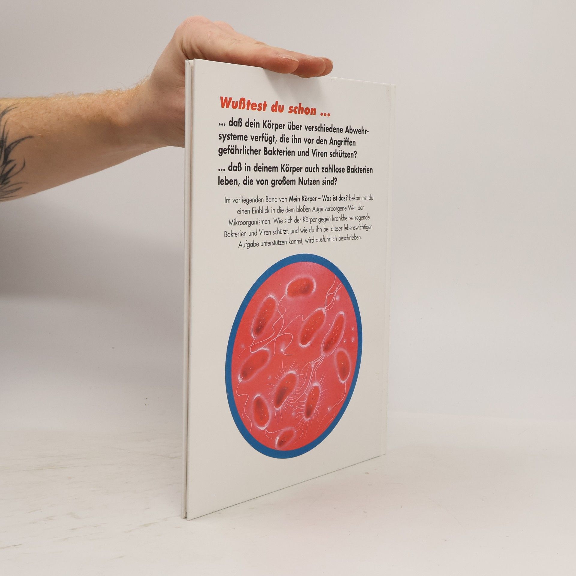 Autores varios Mein Körper. Was ist das? Das Immunsystem