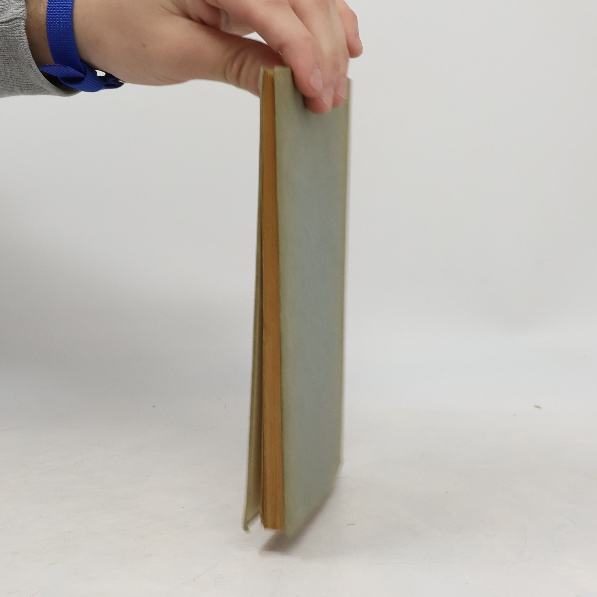 Klabund Geschichte der Weltliteratur in einer Stunde