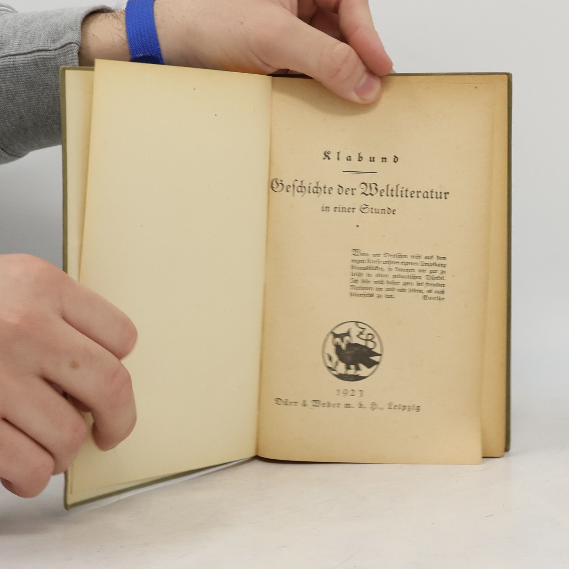 Klabund Geschichte der Weltliteratur in einer Stunde