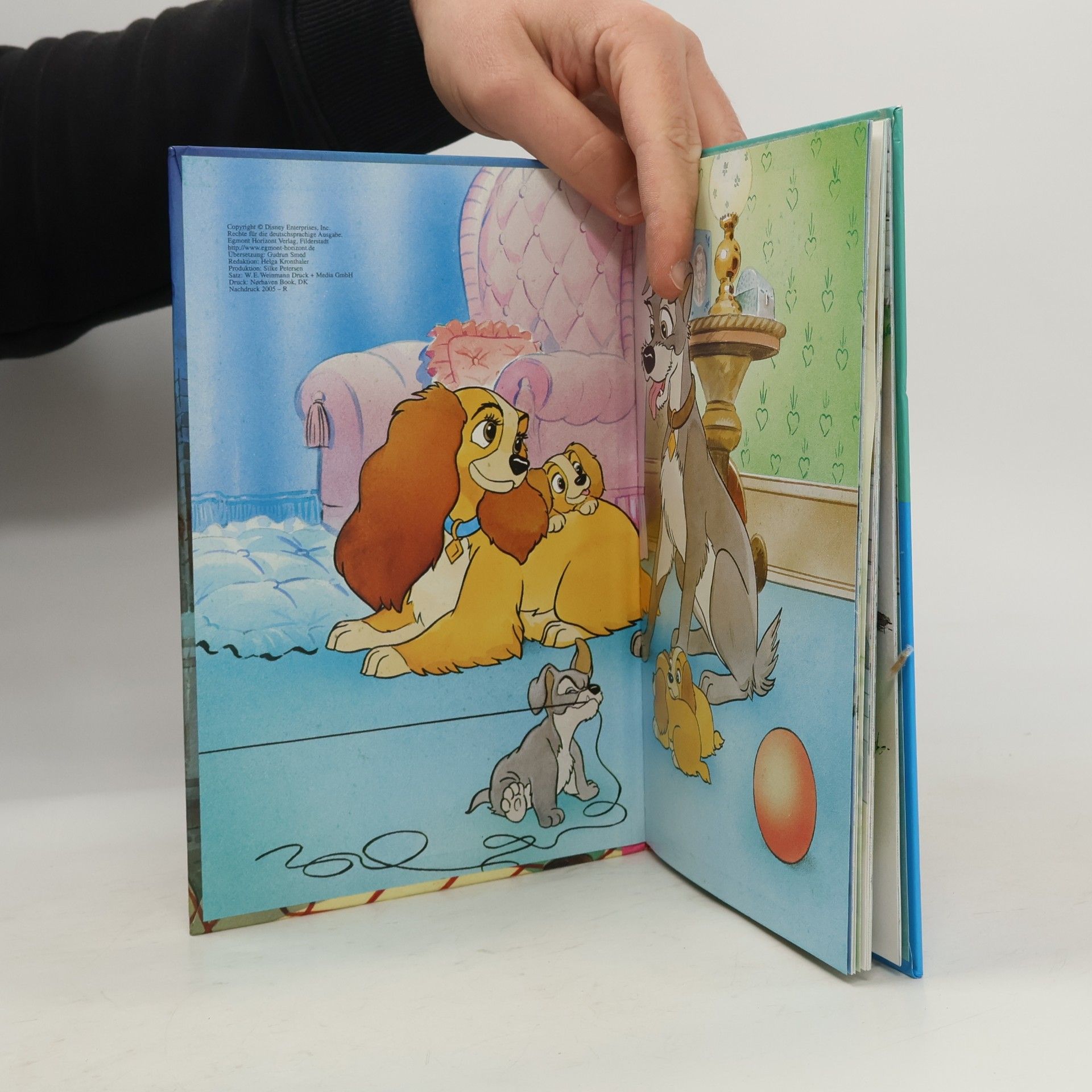 kolektiv Susi und Strolch