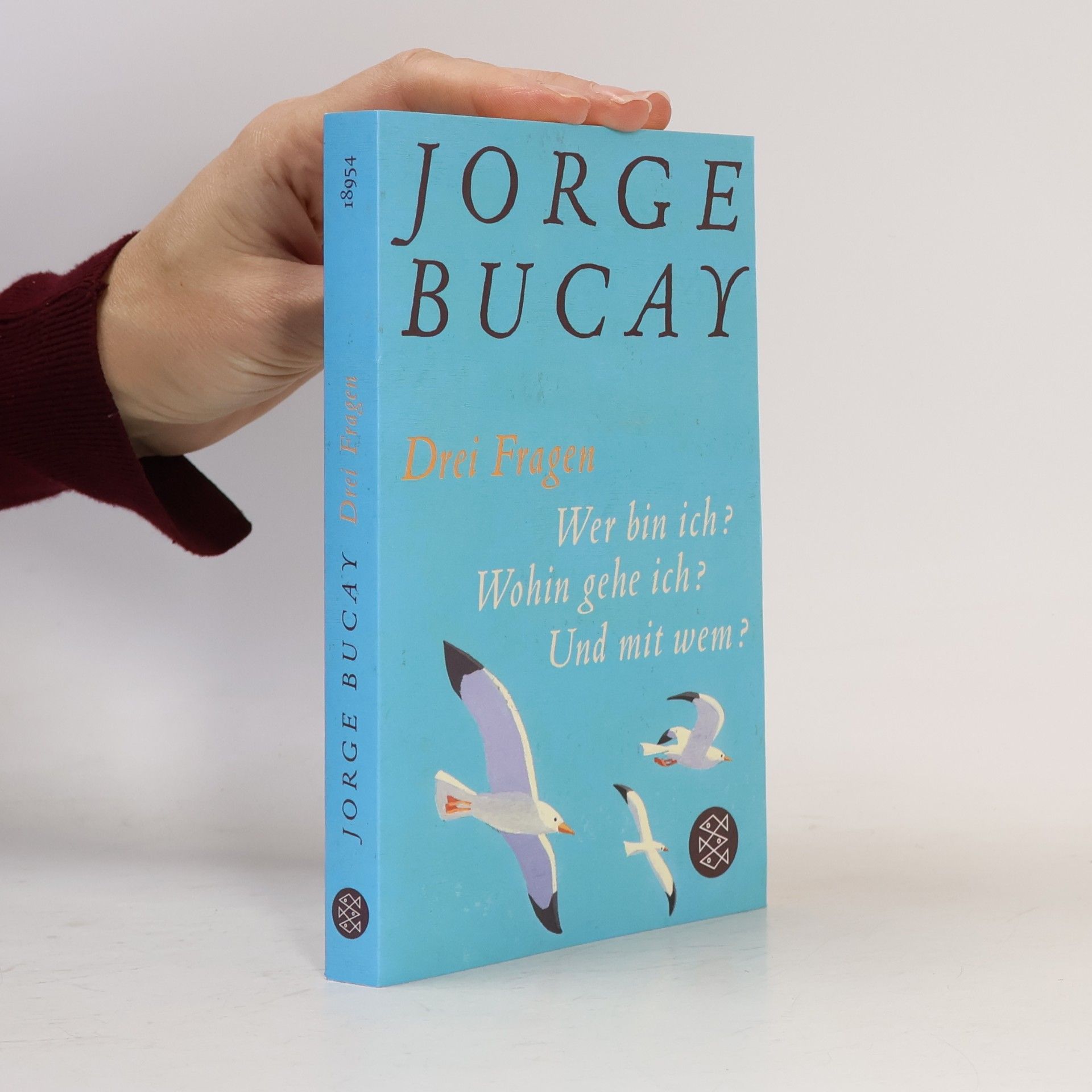 Jorge Bucay Drei Fragen