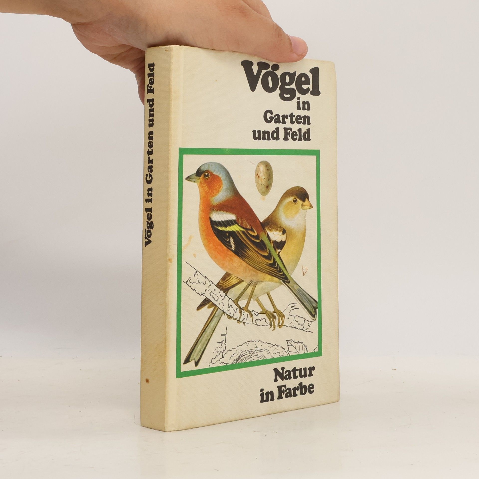 Kolektiv autorů Vögel in Garten und Feld. Natur in Farbe